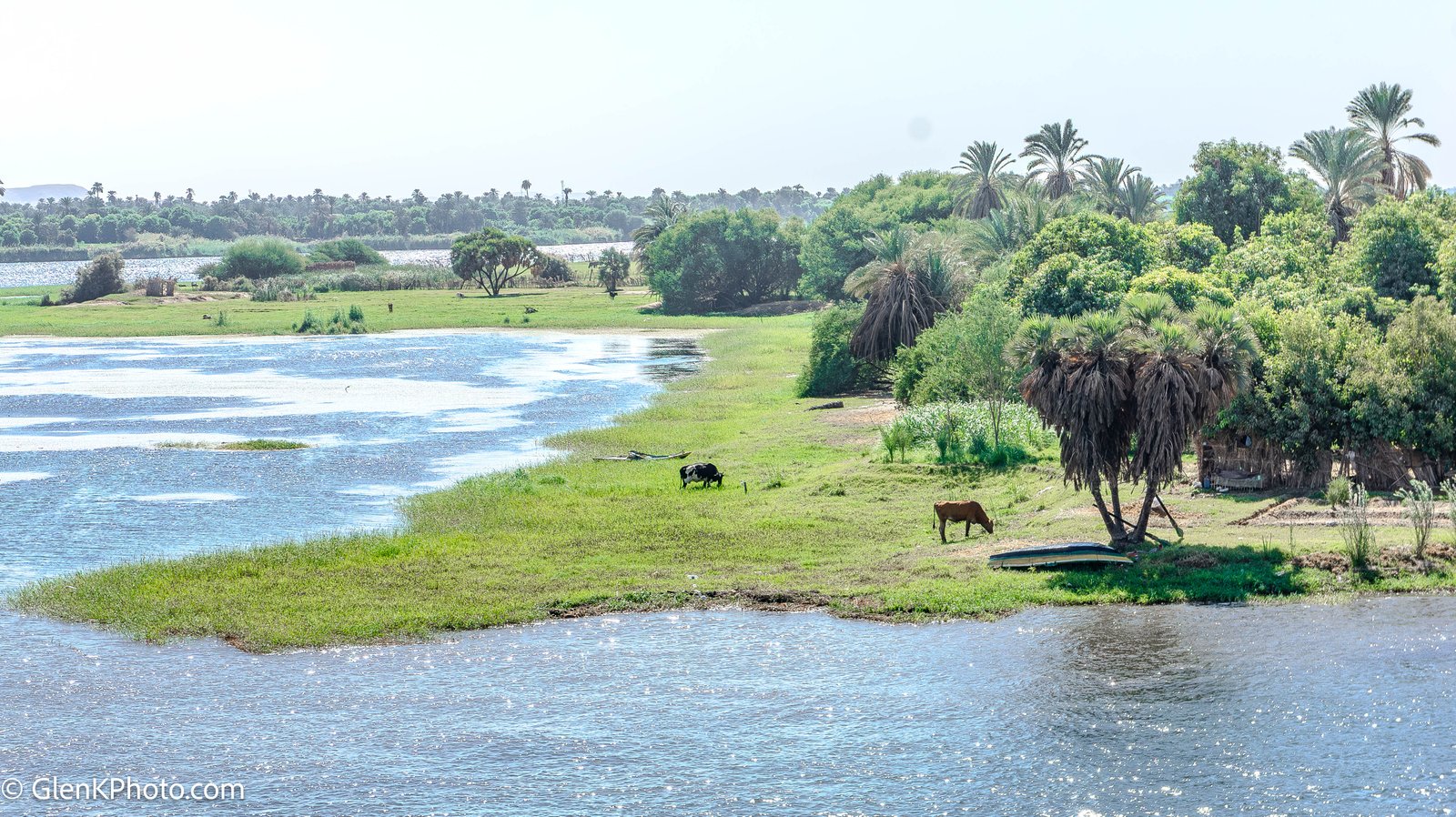 A photo from glenkphoto.com gallery