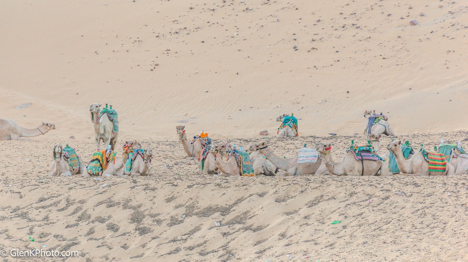 A photo from glenkphoto.com gallery