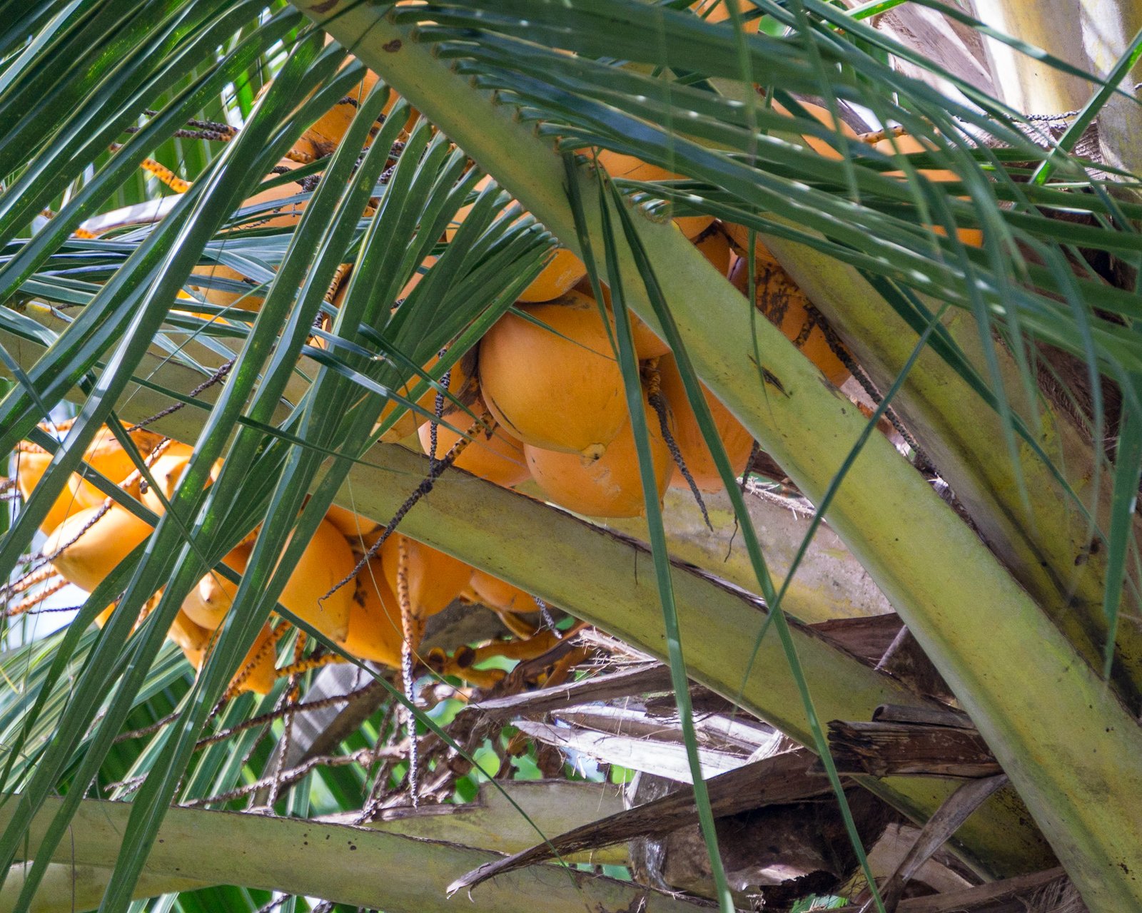 A photo from glenkphoto.com gallery