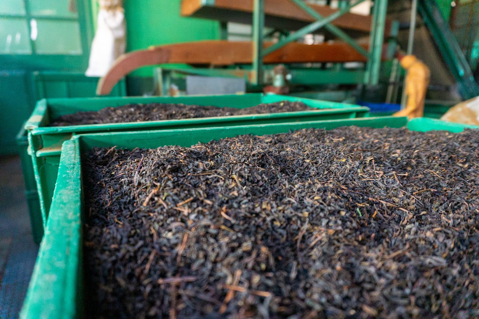 A photo from glenkphoto.com gallery