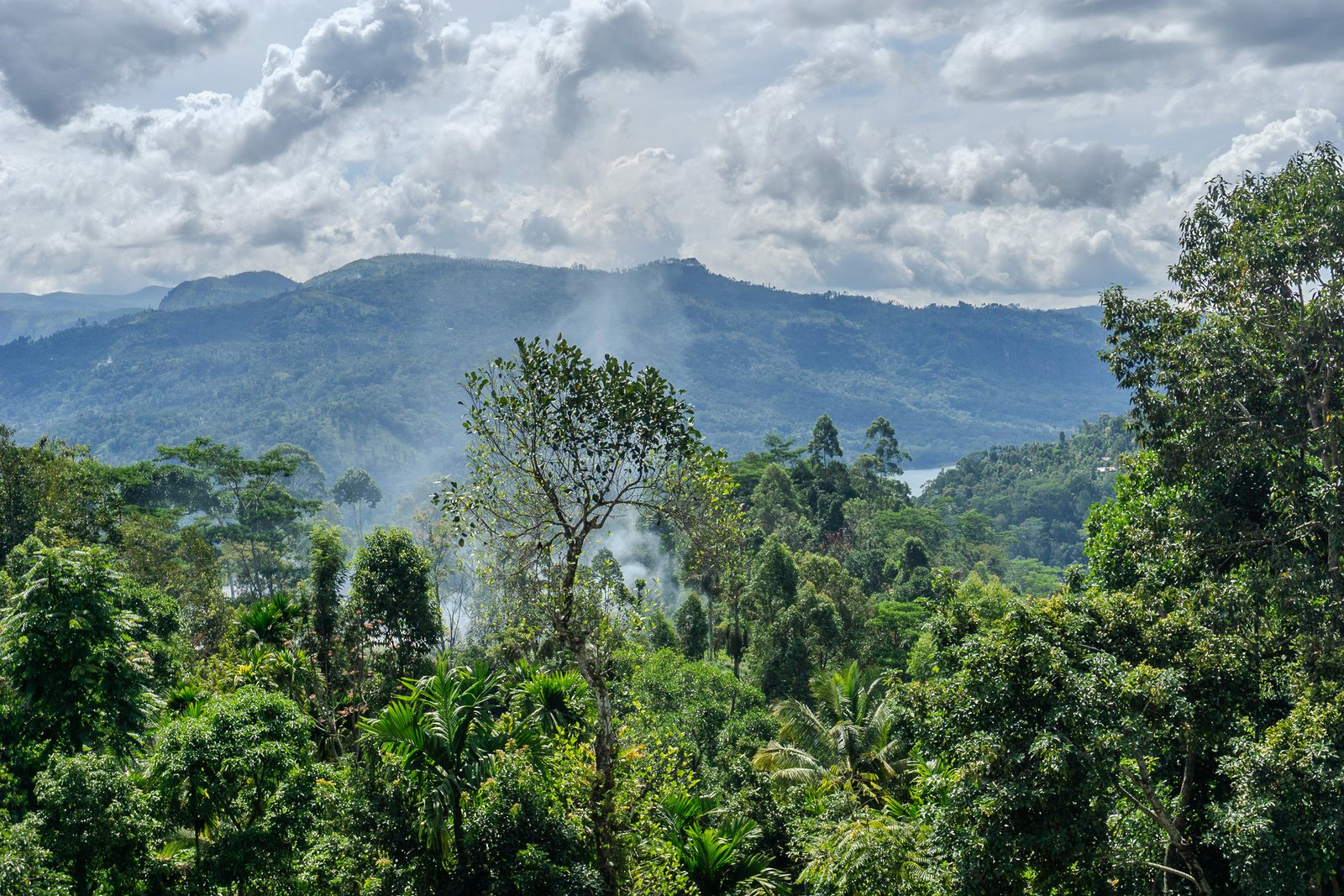 A photo from glenkphoto.com gallery