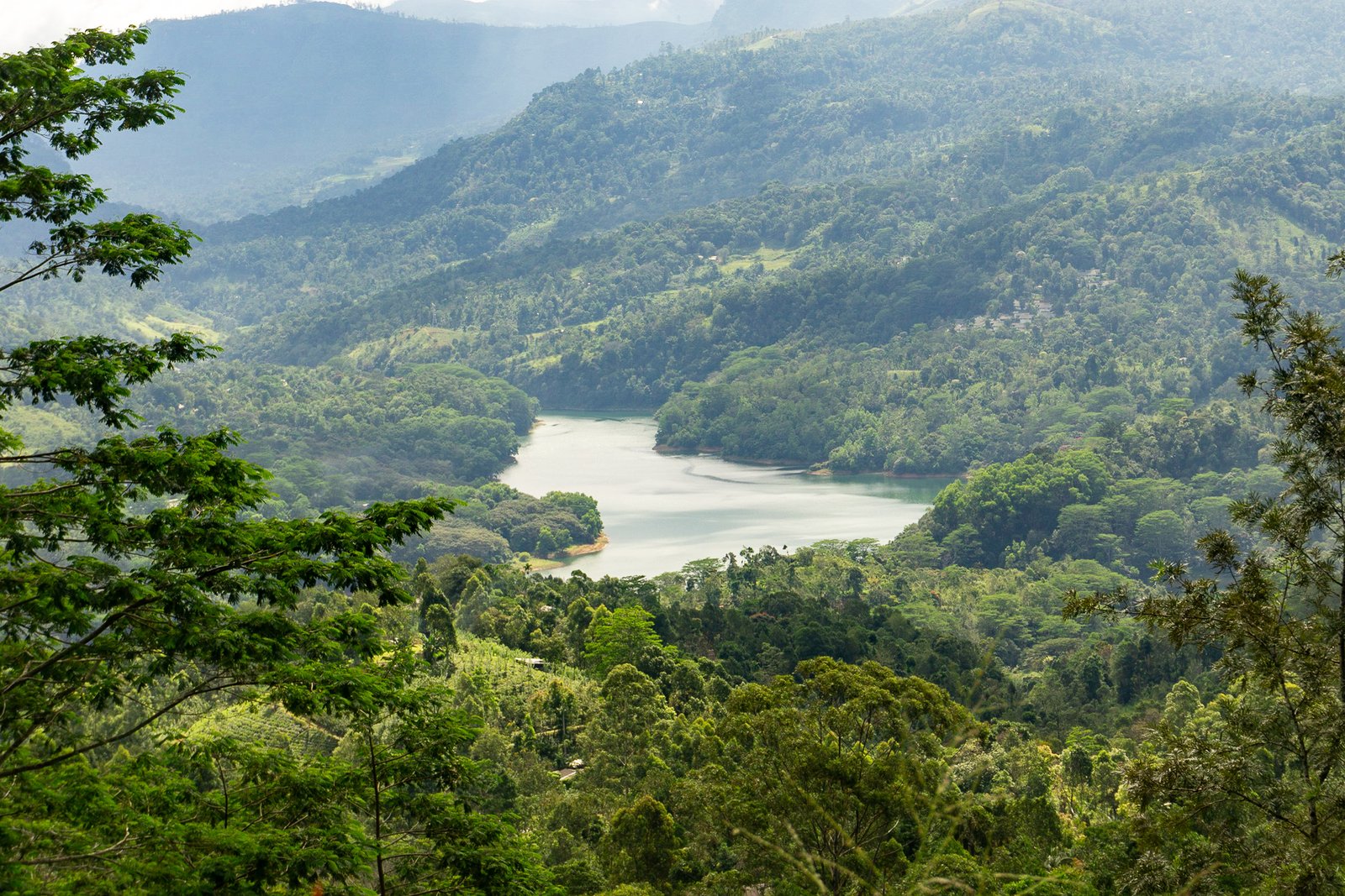 A photo from glenkphoto.com gallery