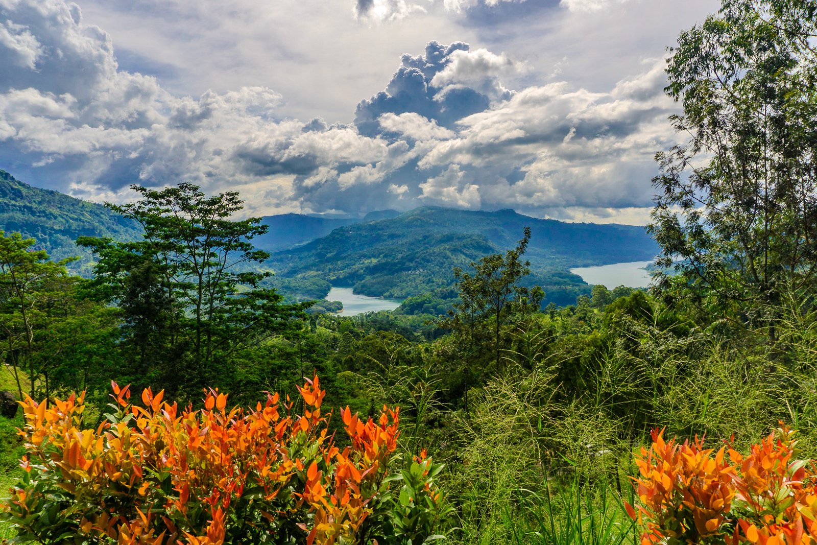 A photo from glenkphoto.com gallery