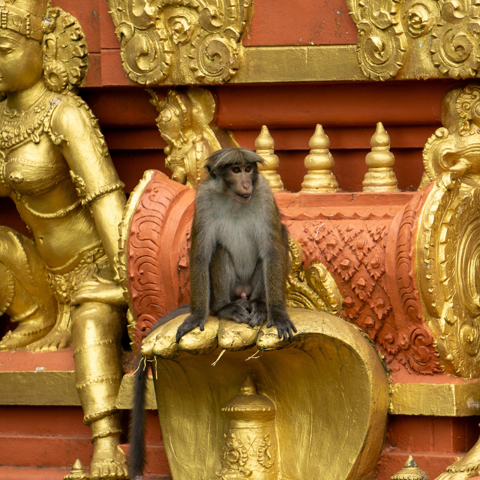 A photo from glenkphoto.com gallery