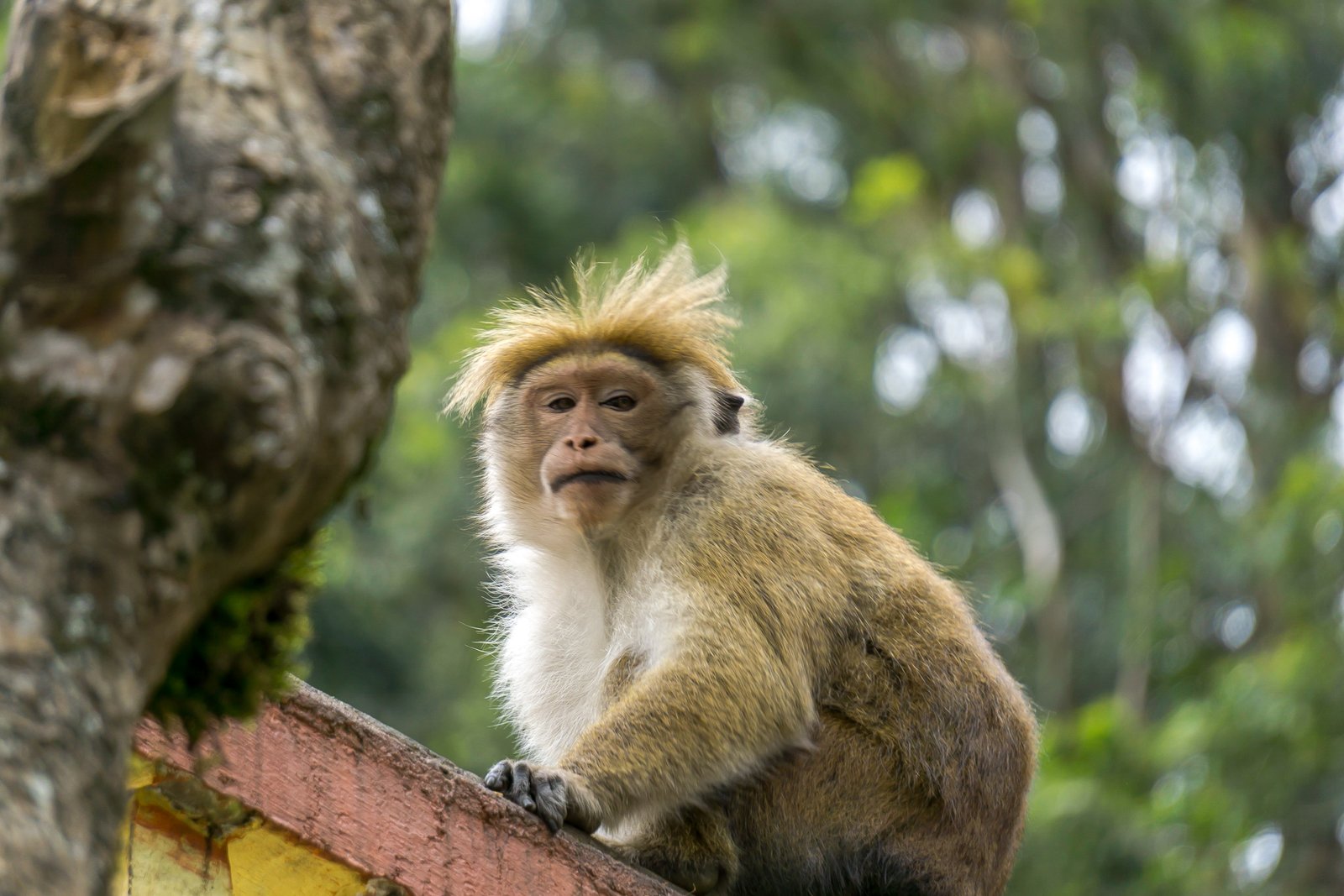 A photo from glenkphoto.com gallery