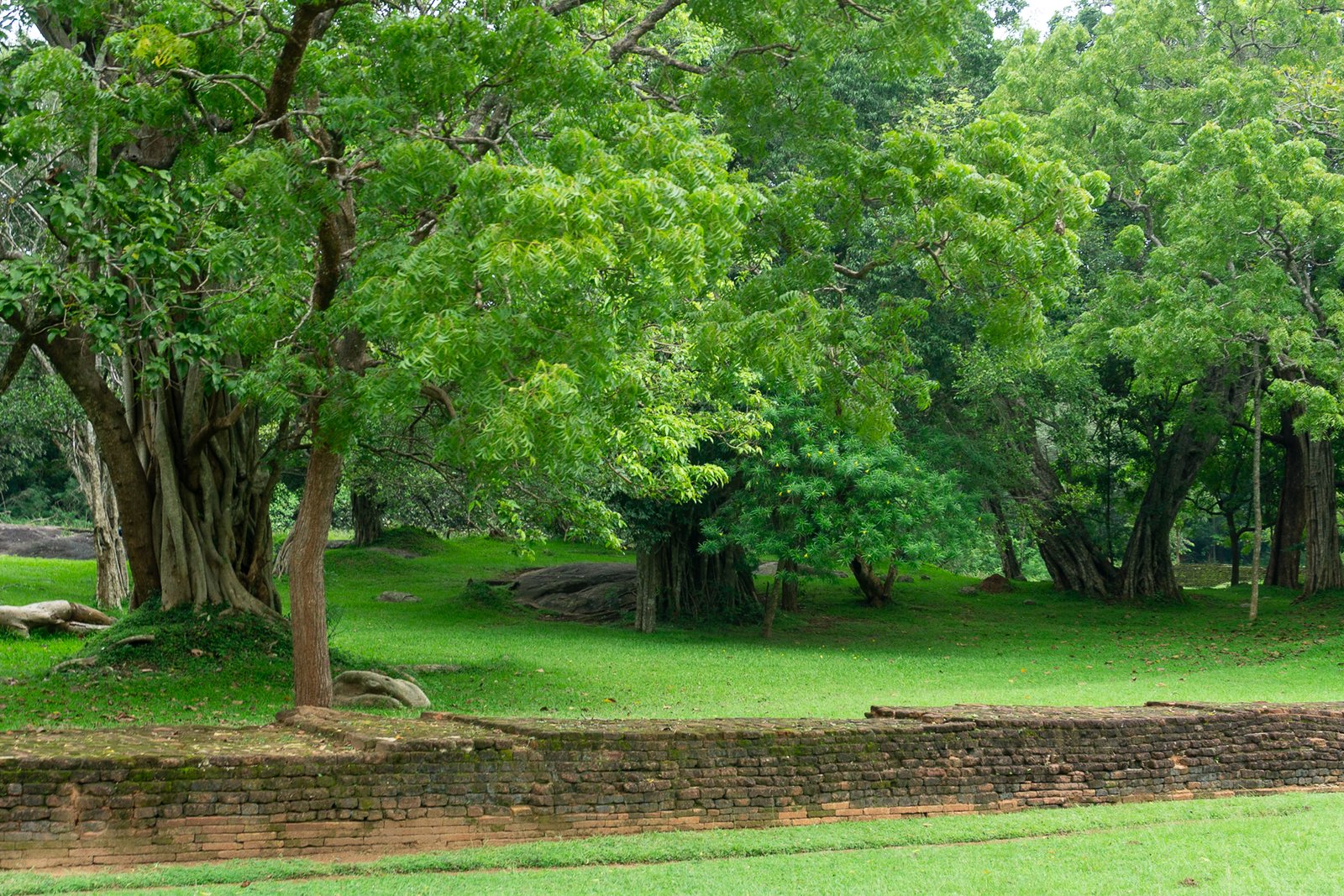 A photo from glenkphoto.com gallery