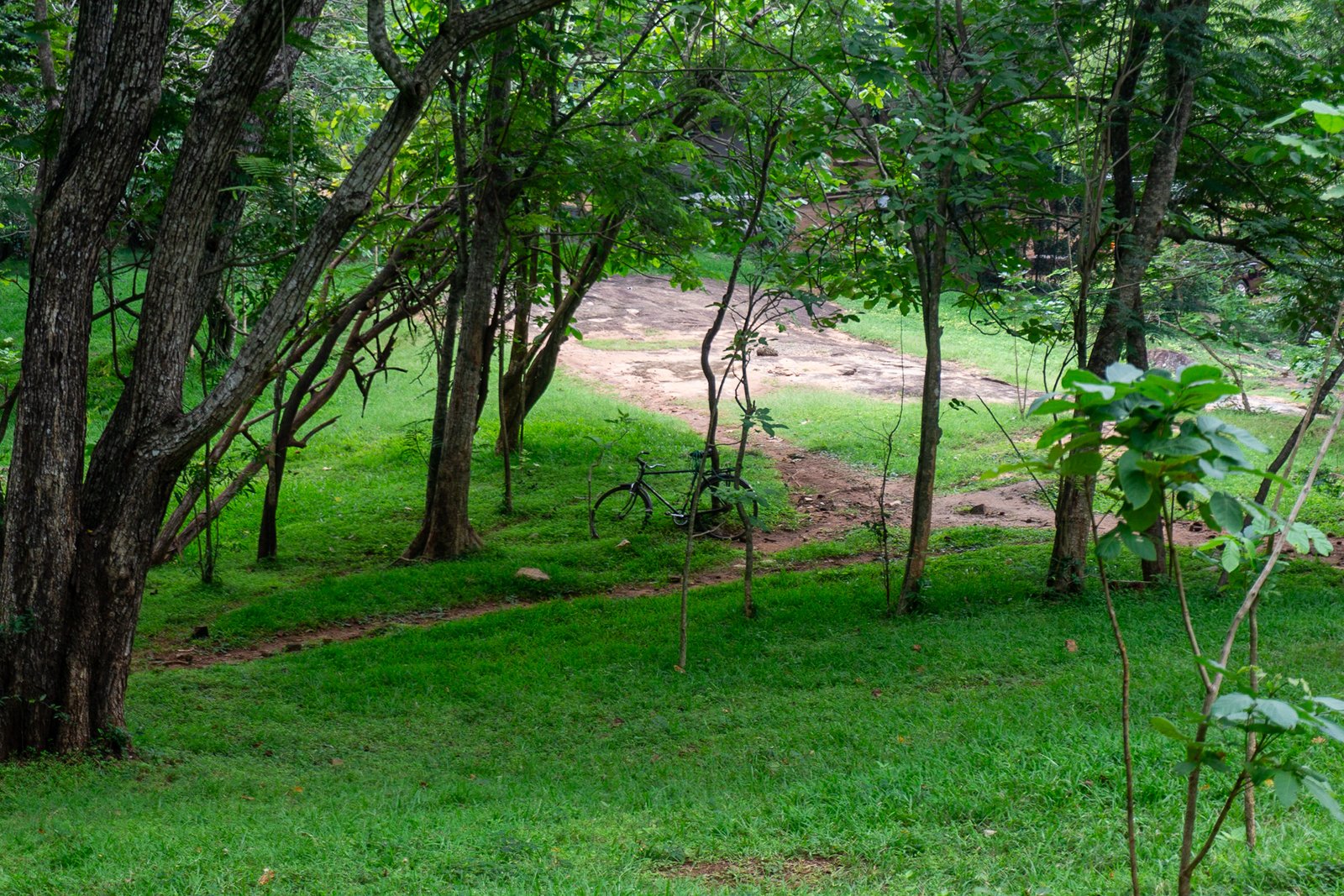 A photo from glenkphoto.com gallery