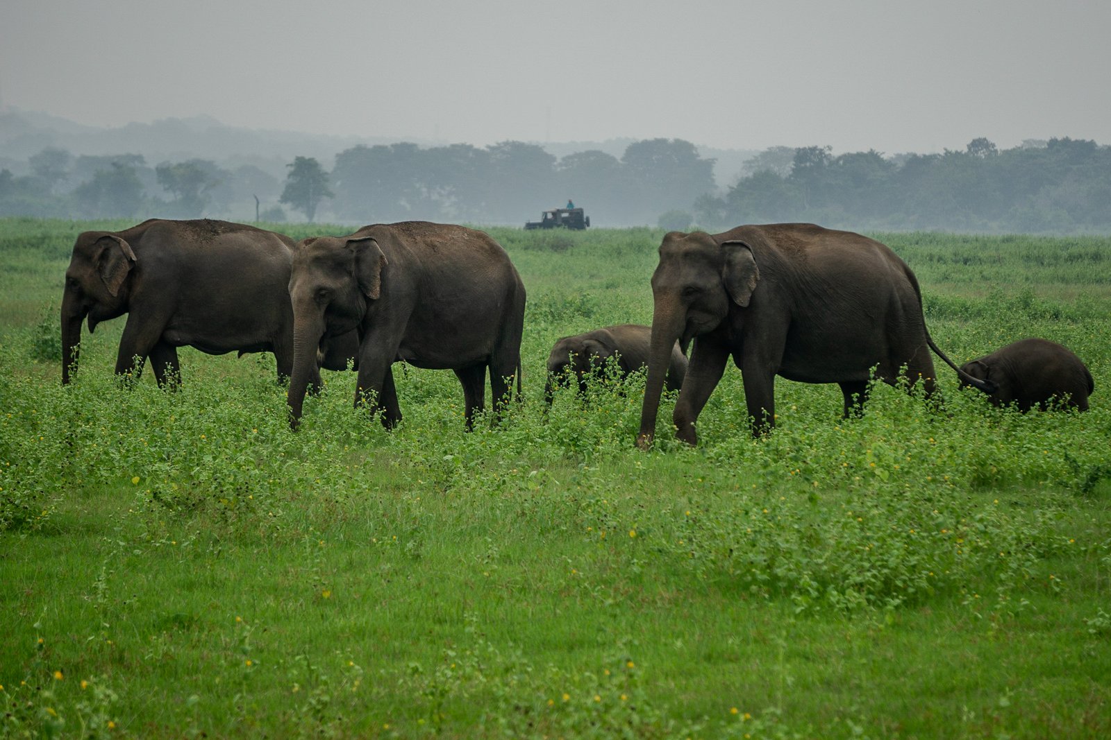 A photo from glenkphoto.com gallery