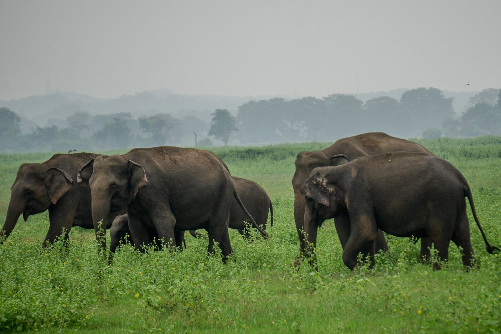 A photo from glenkphoto.com gallery