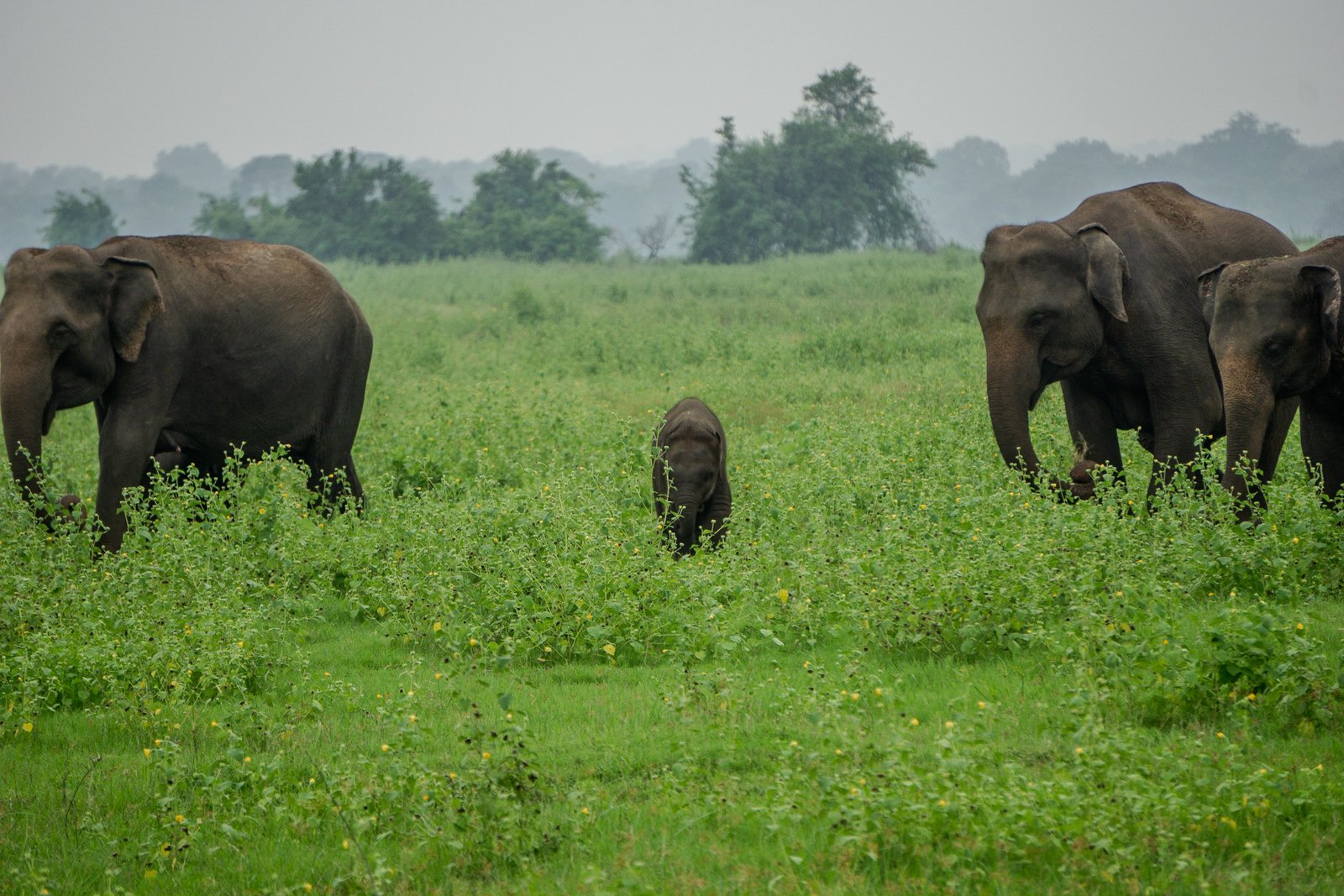 A photo from glenkphoto.com gallery
