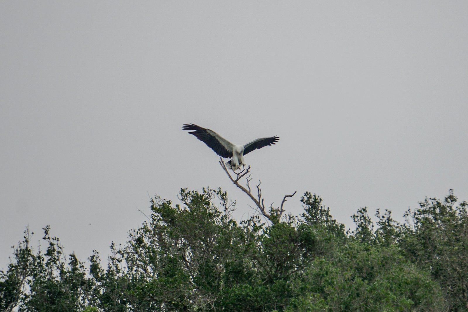 A photo from glenkphoto.com gallery