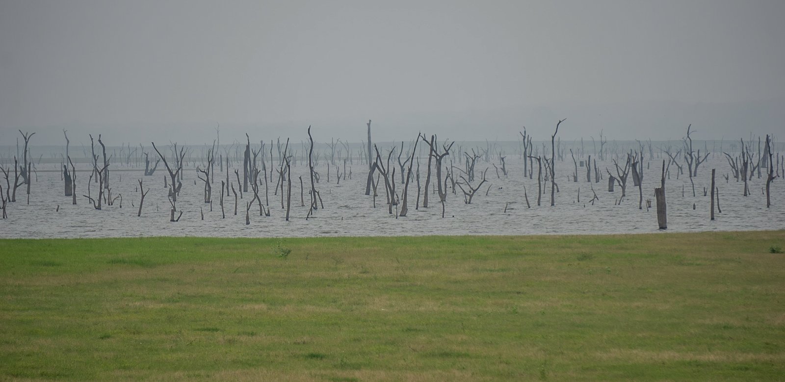 A photo from glenkphoto.com gallery