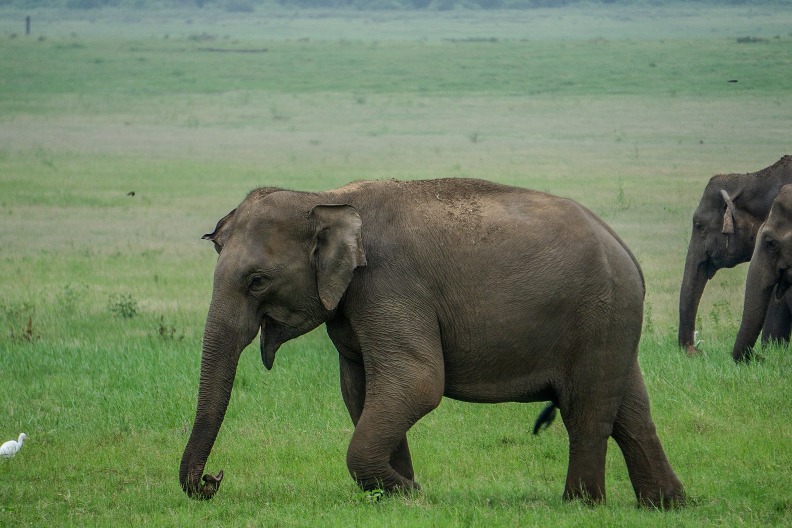 A photo from glenkphoto.com gallery