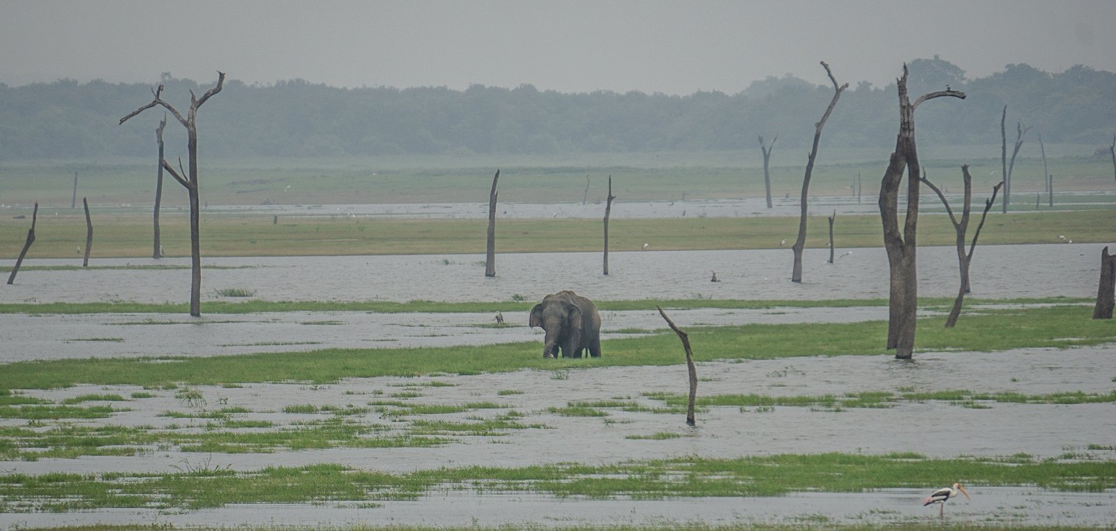 A photo from glenkphoto.com gallery