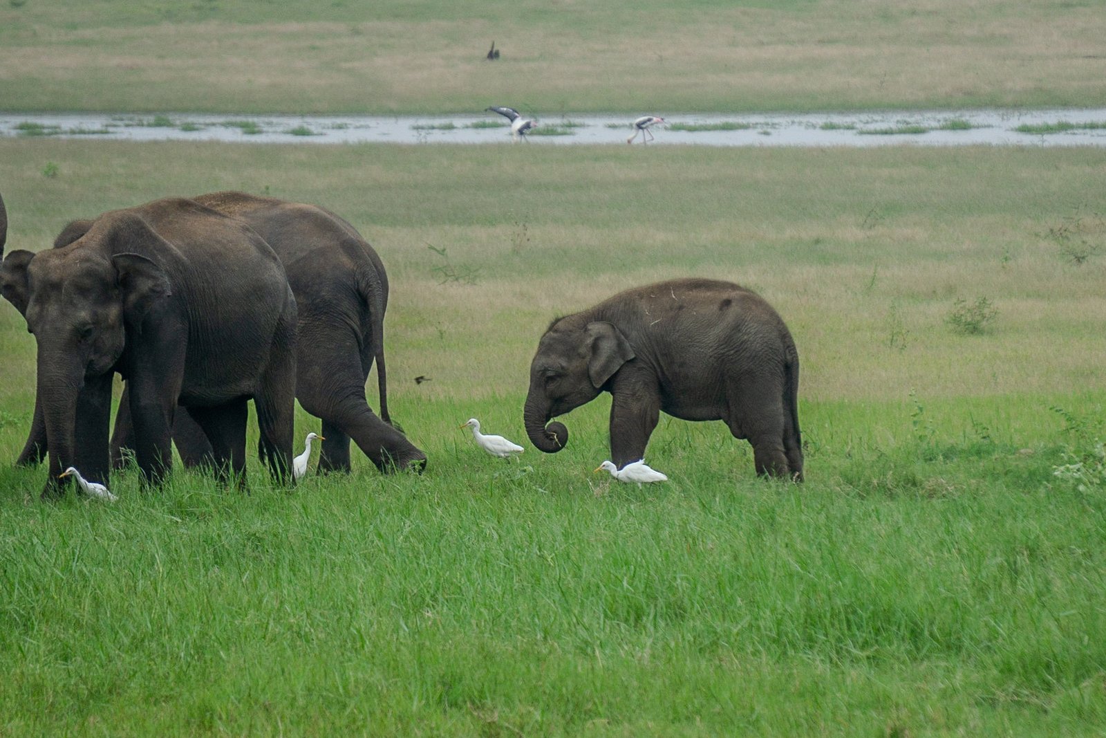 A photo from glenkphoto.com gallery