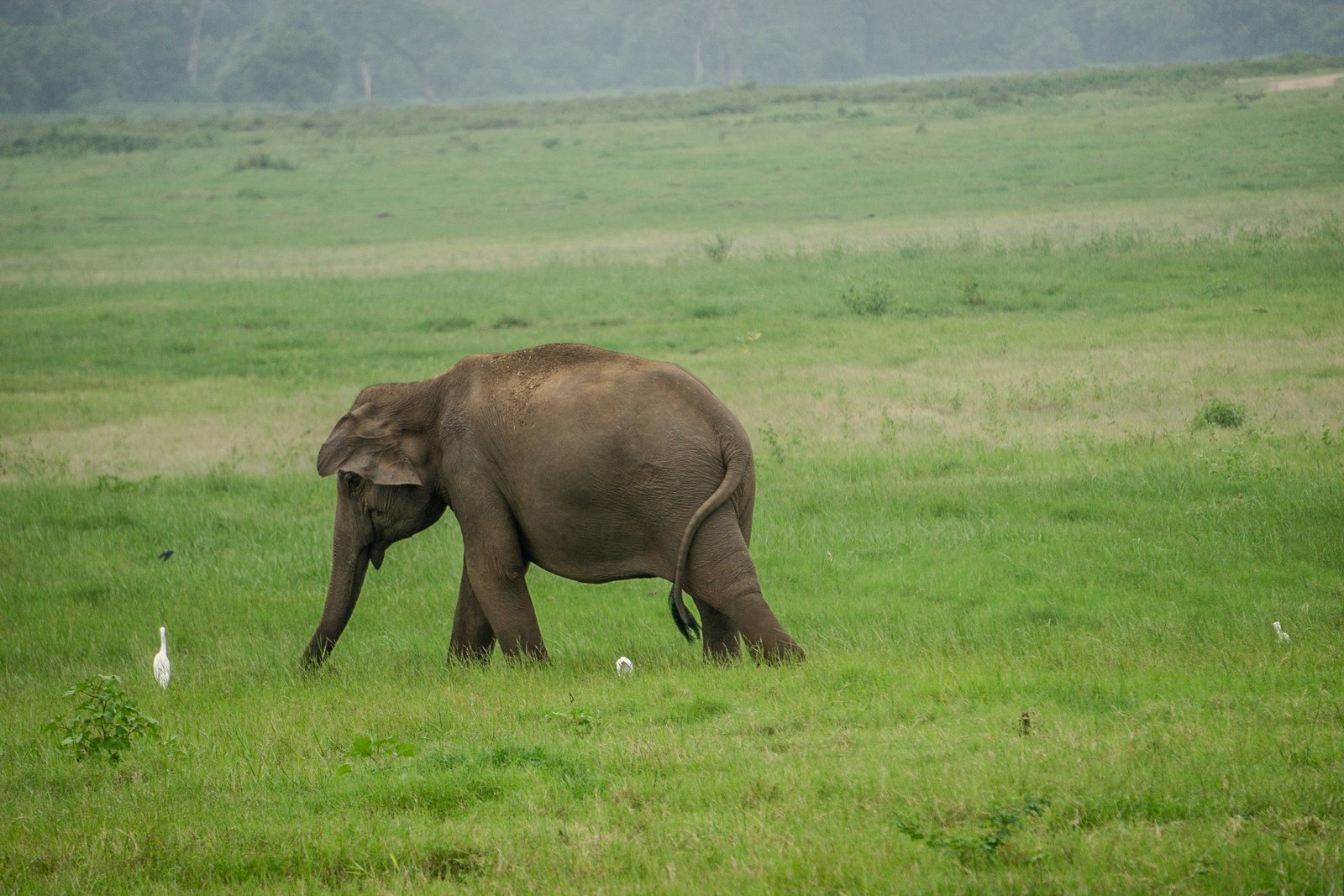 A photo from glenkphoto.com gallery