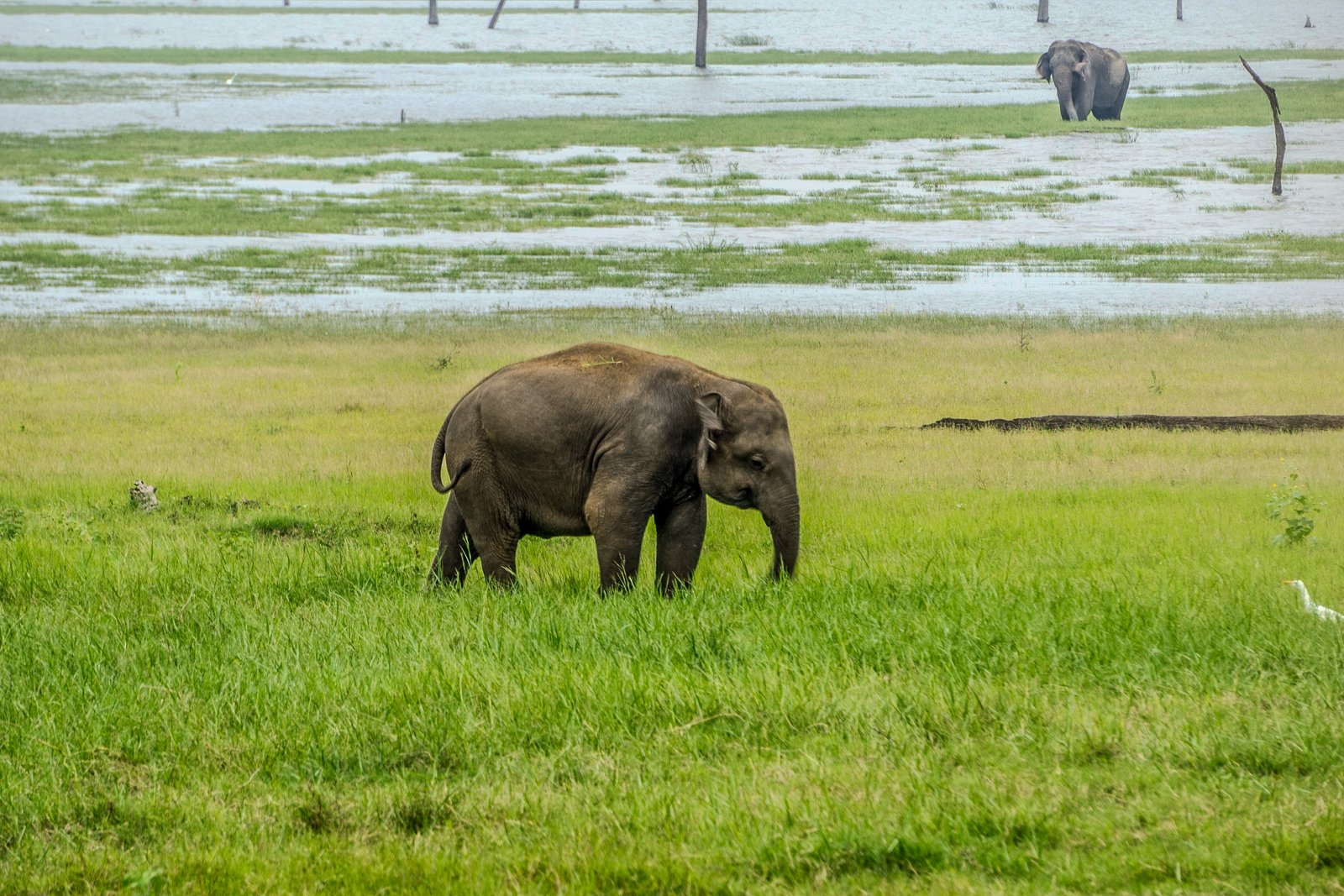 A photo from glenkphoto.com gallery