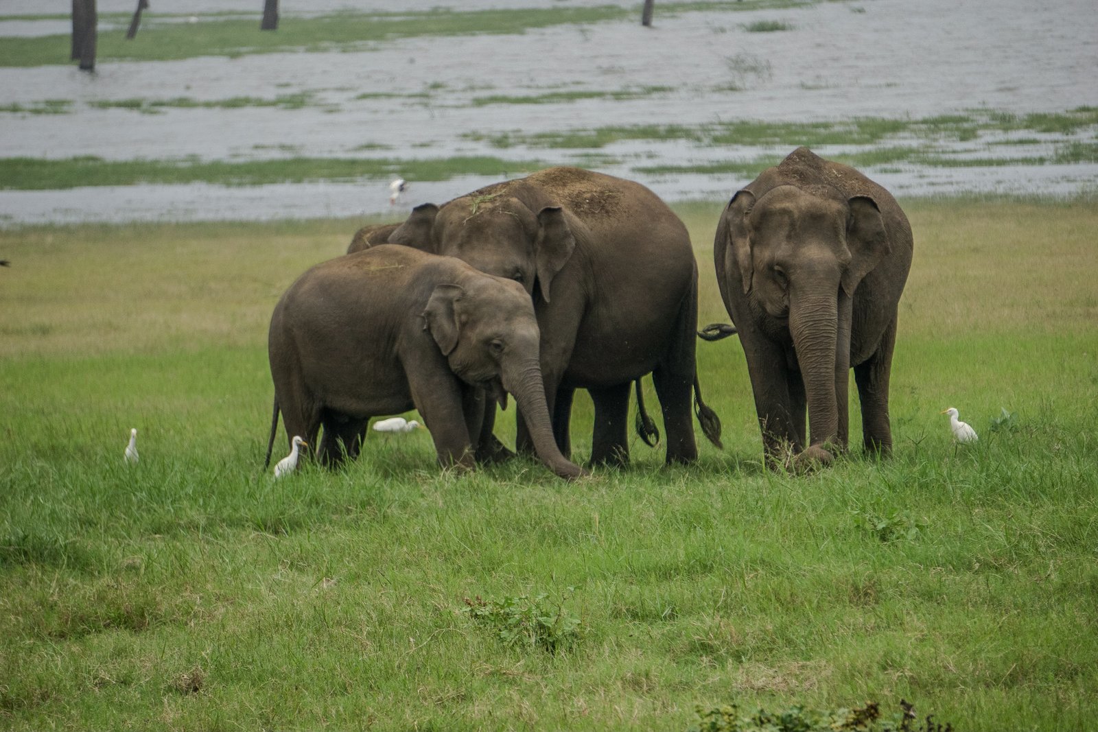 A photo from glenkphoto.com gallery