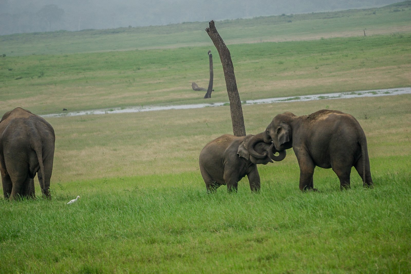 A photo from glenkphoto.com gallery