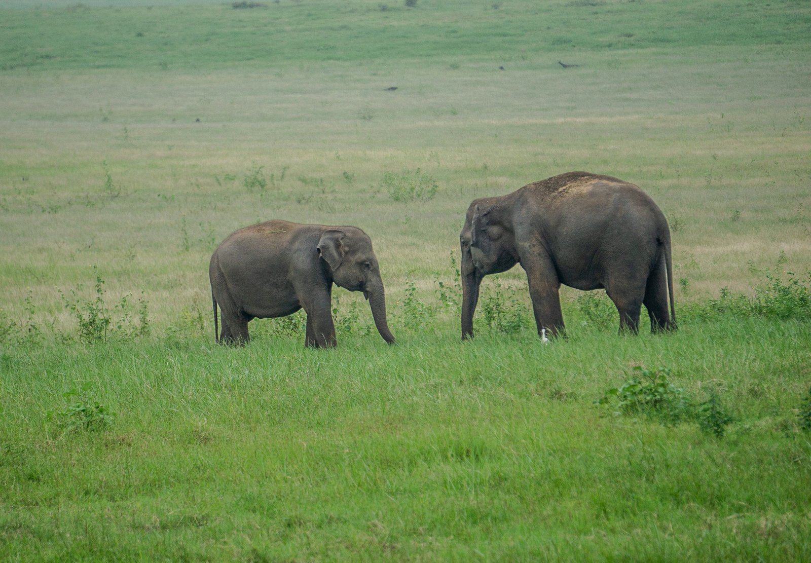 A photo from glenkphoto.com gallery