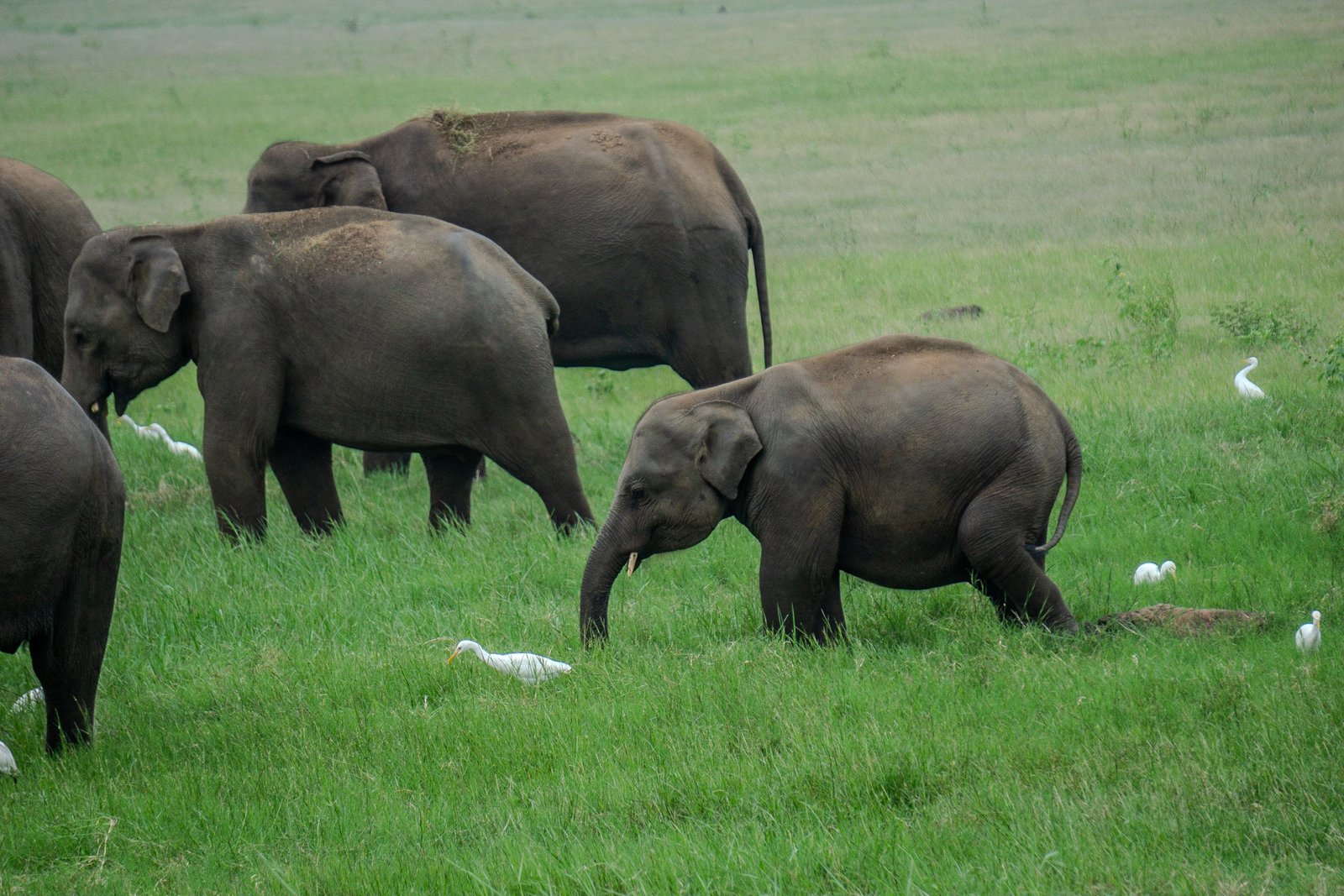 A photo from glenkphoto.com gallery