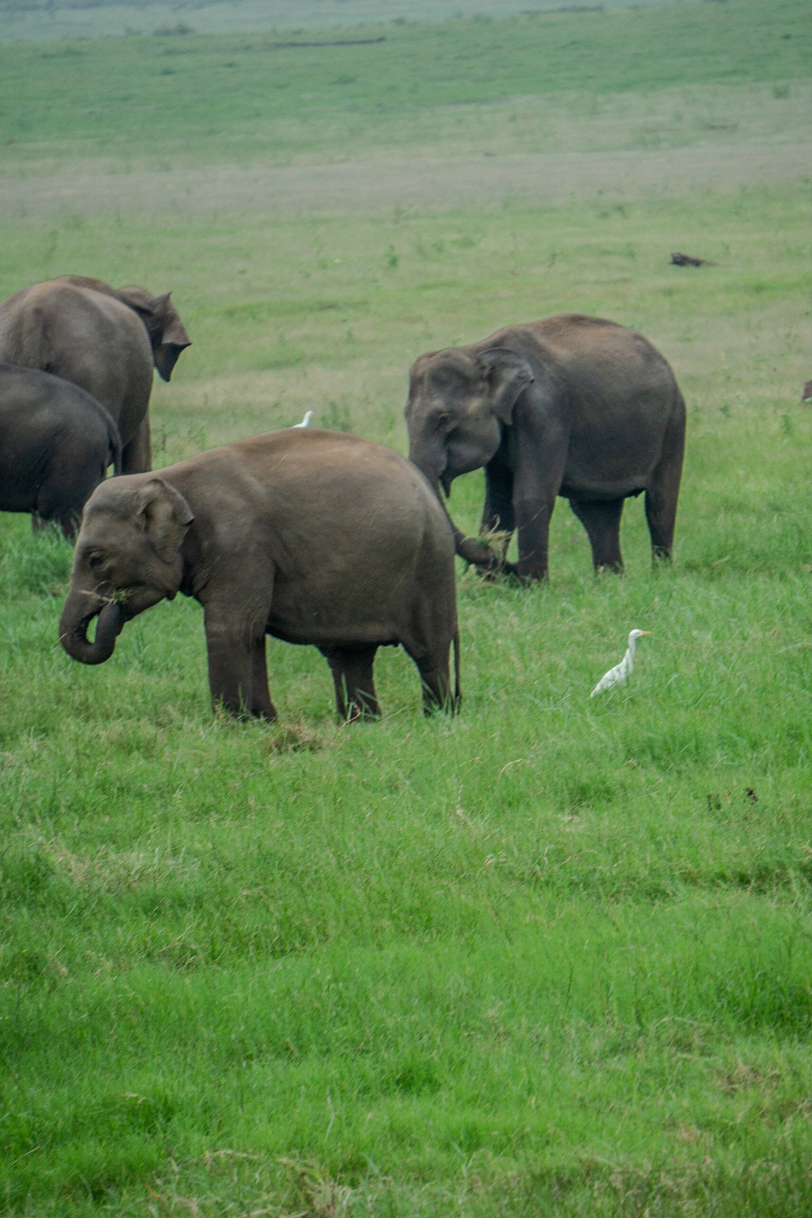 A photo from glenkphoto.com gallery