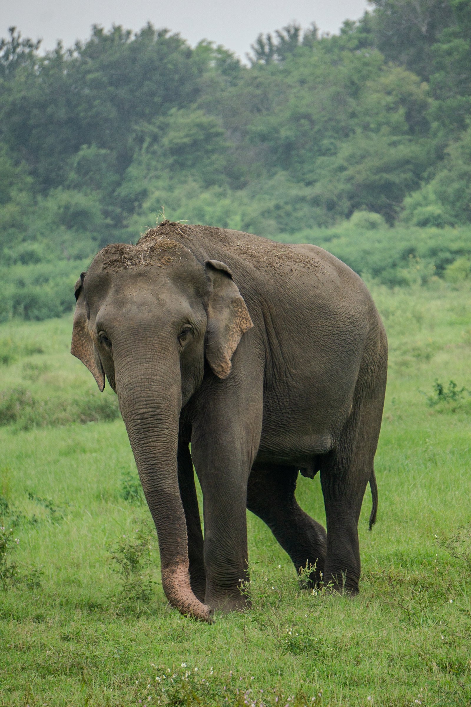 A photo from glenkphoto.com gallery