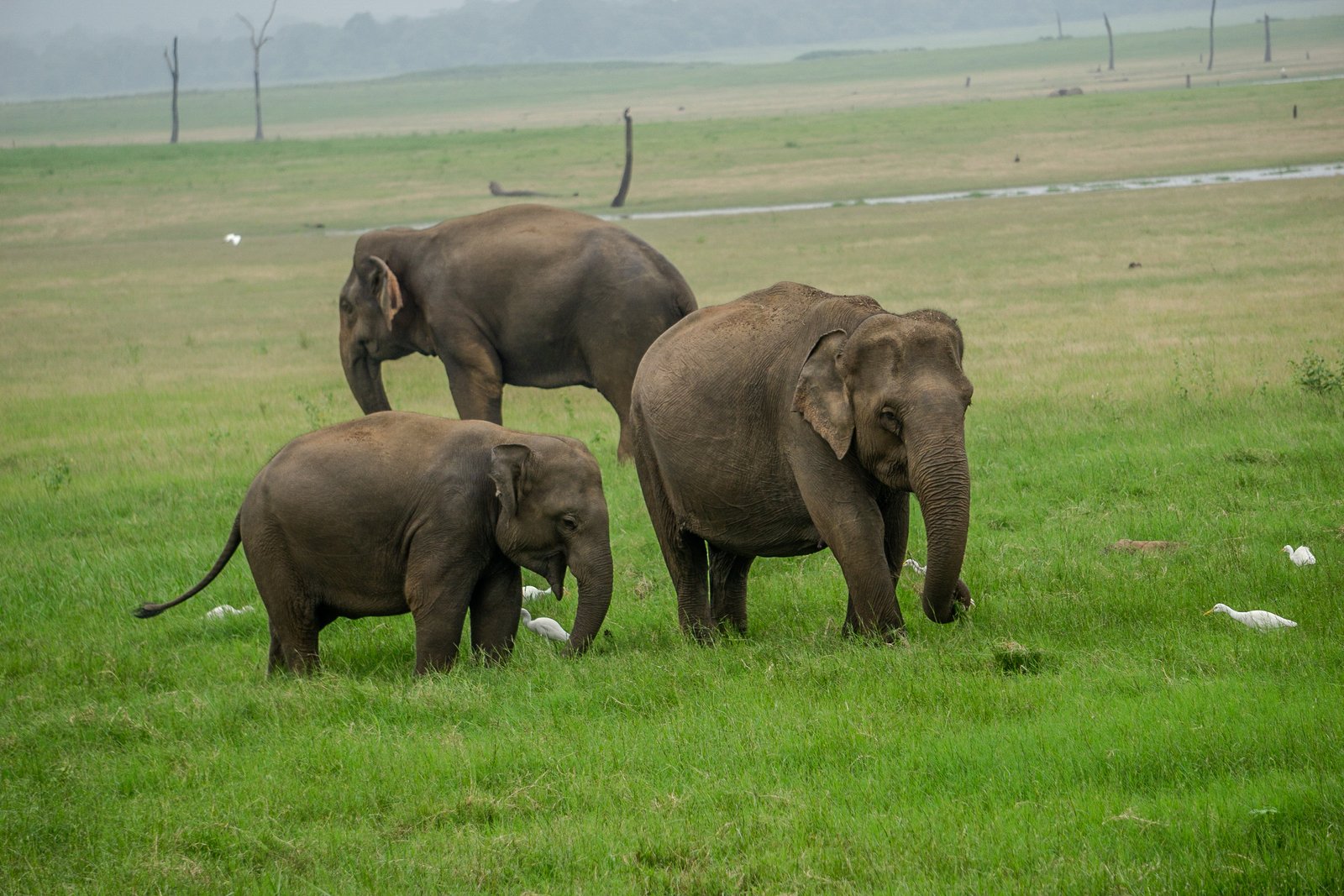 A photo from glenkphoto.com gallery