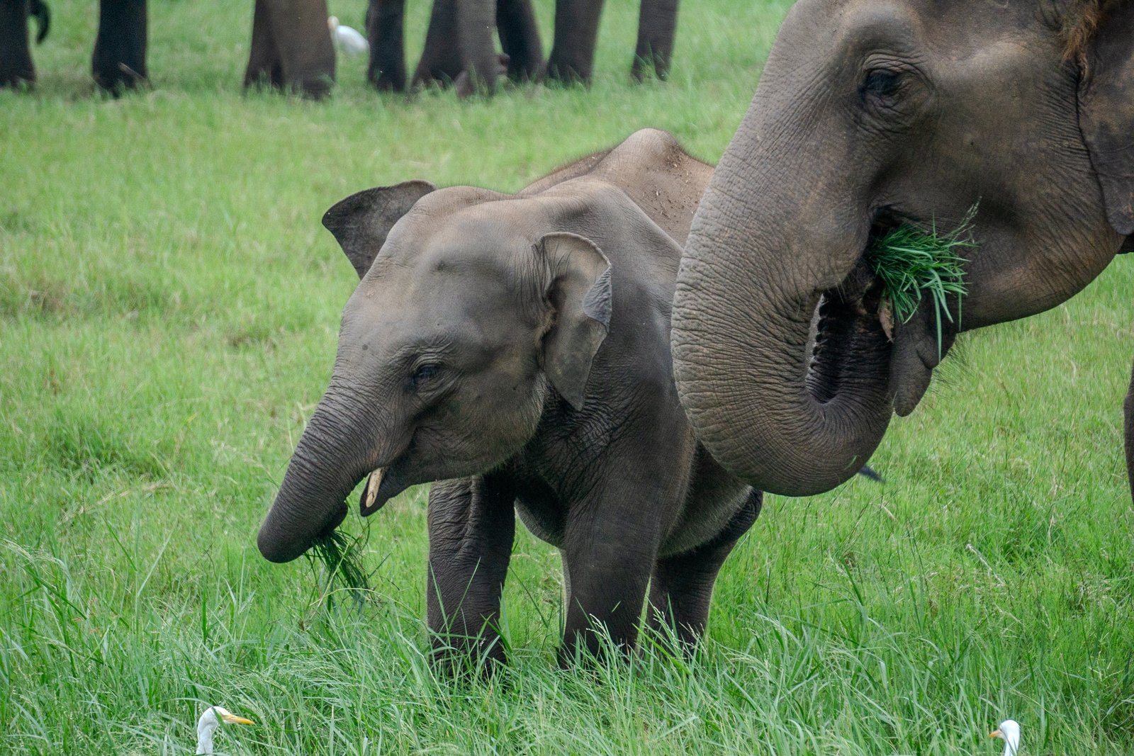 A photo from glenkphoto.com gallery