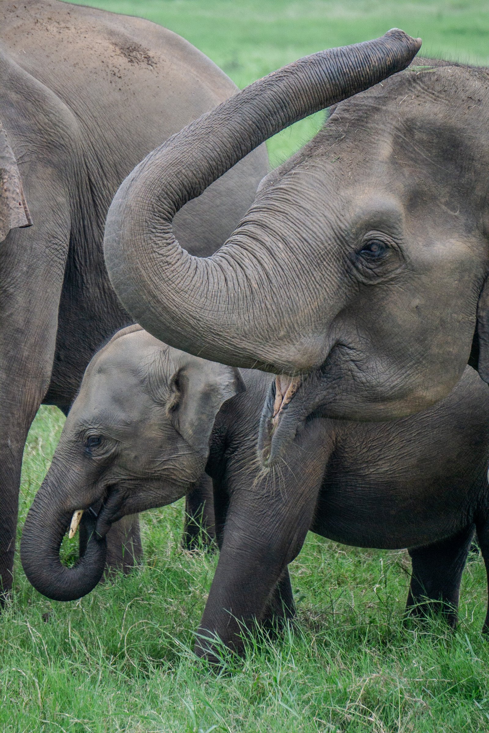 A photo from glenkphoto.com gallery