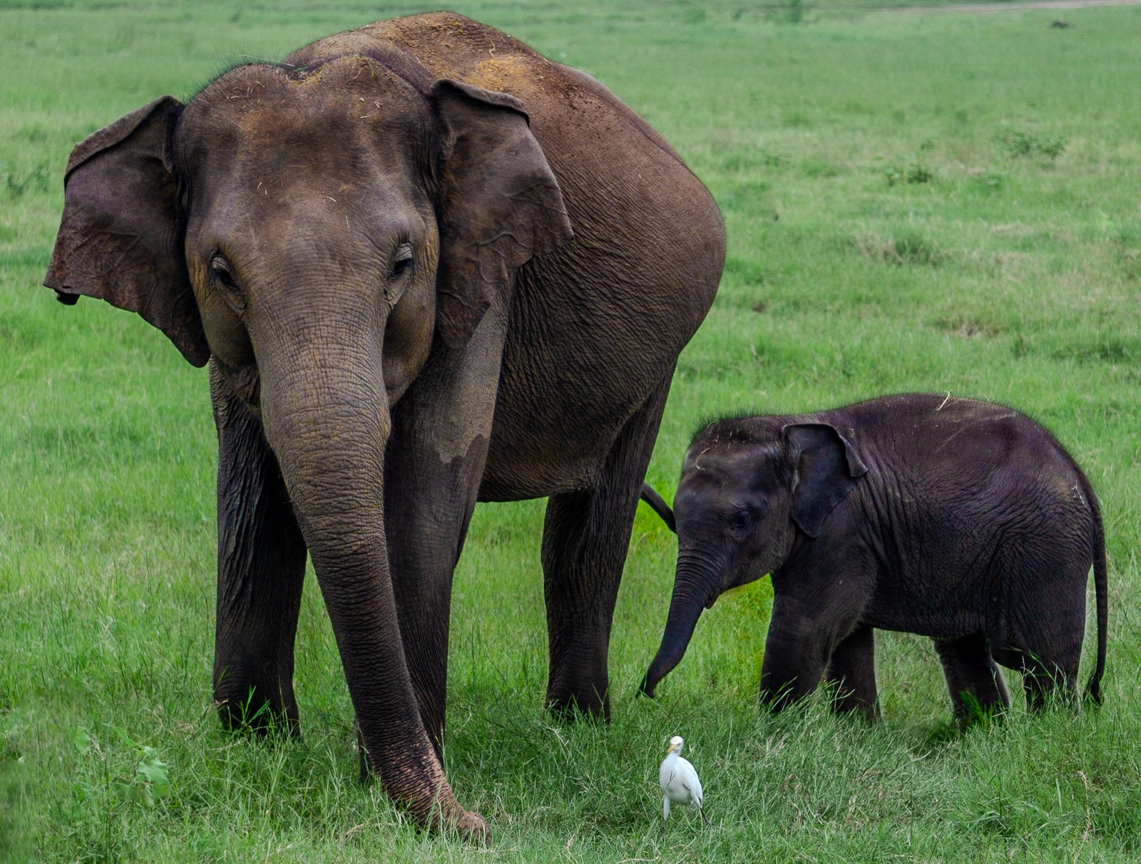 A photo from glenkphoto.com gallery