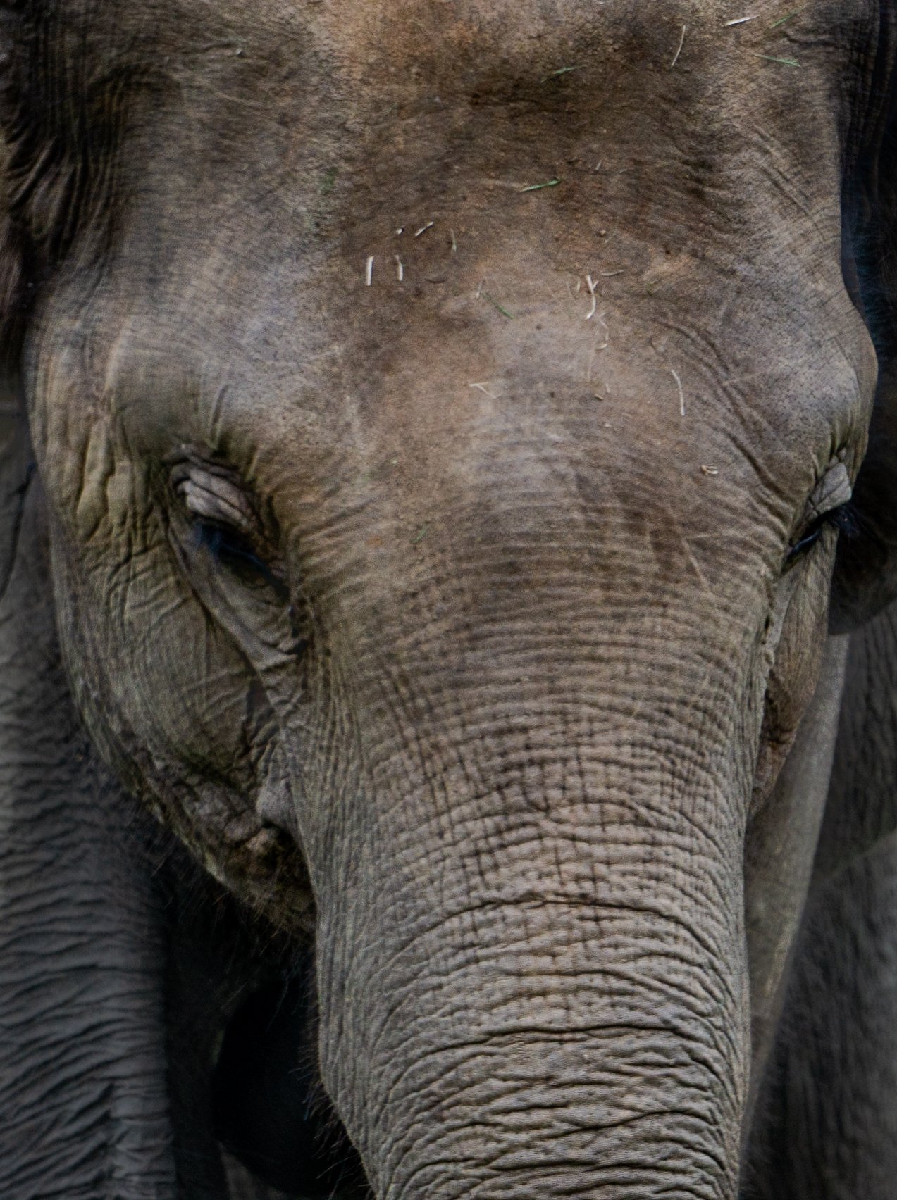 A photo from glenkphoto.com gallery