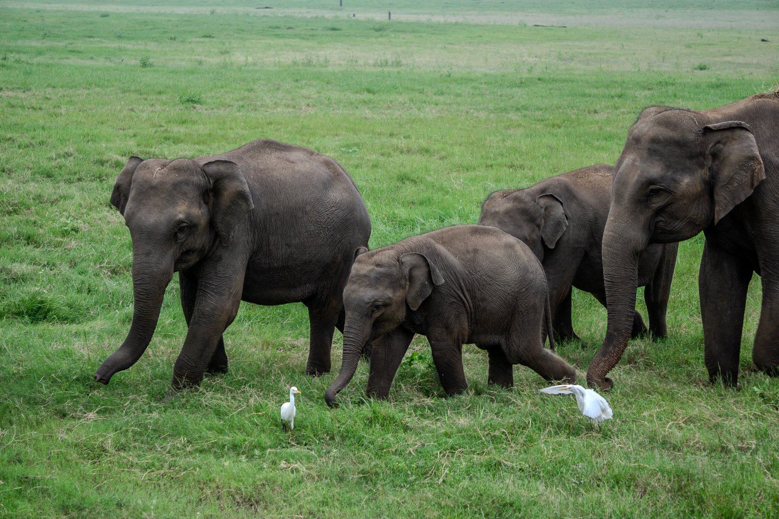 A photo from glenkphoto.com gallery