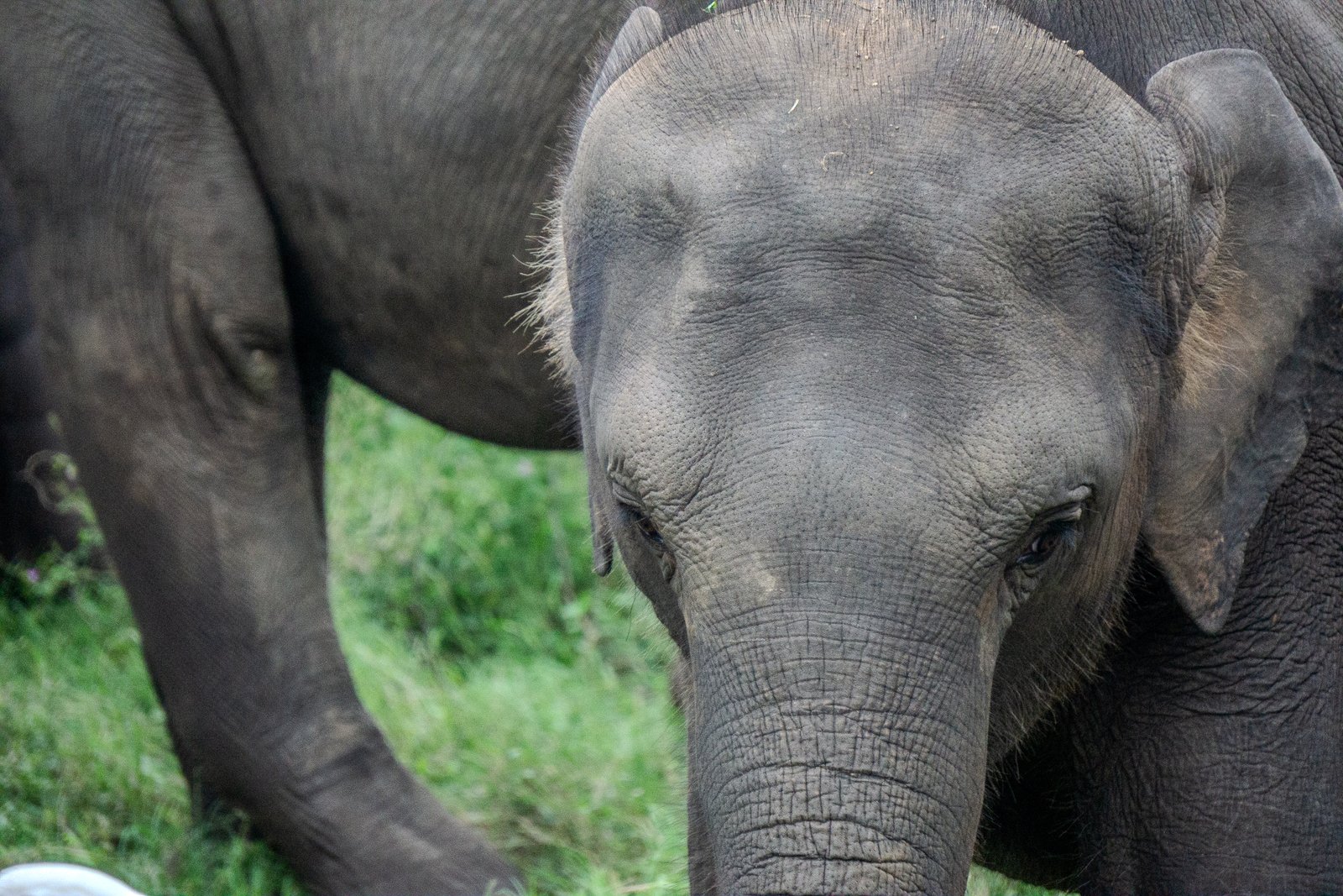 A photo from glenkphoto.com gallery