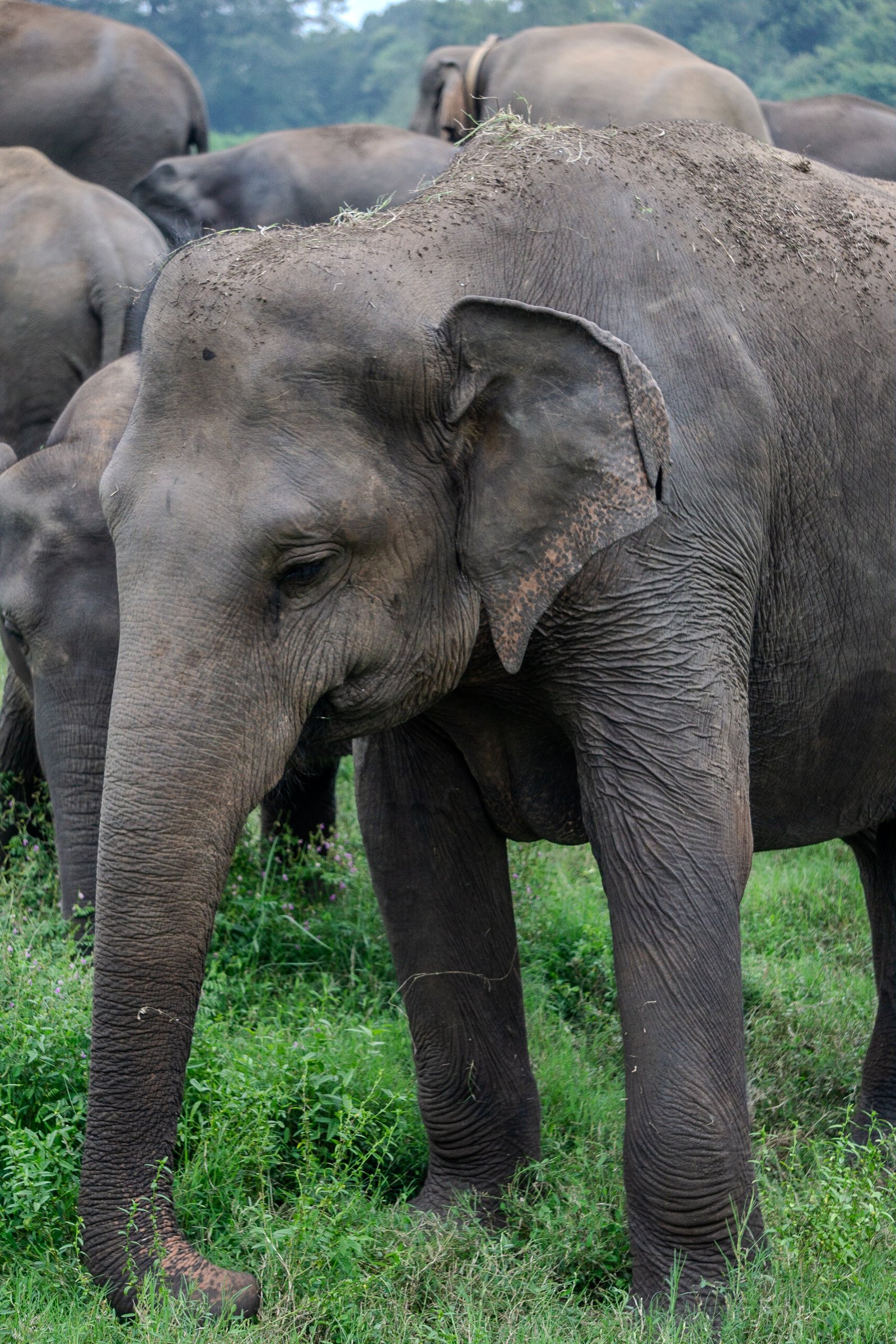 A photo from glenkphoto.com gallery