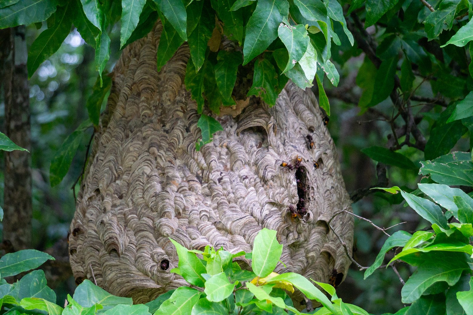 A photo from glenkphoto.com gallery