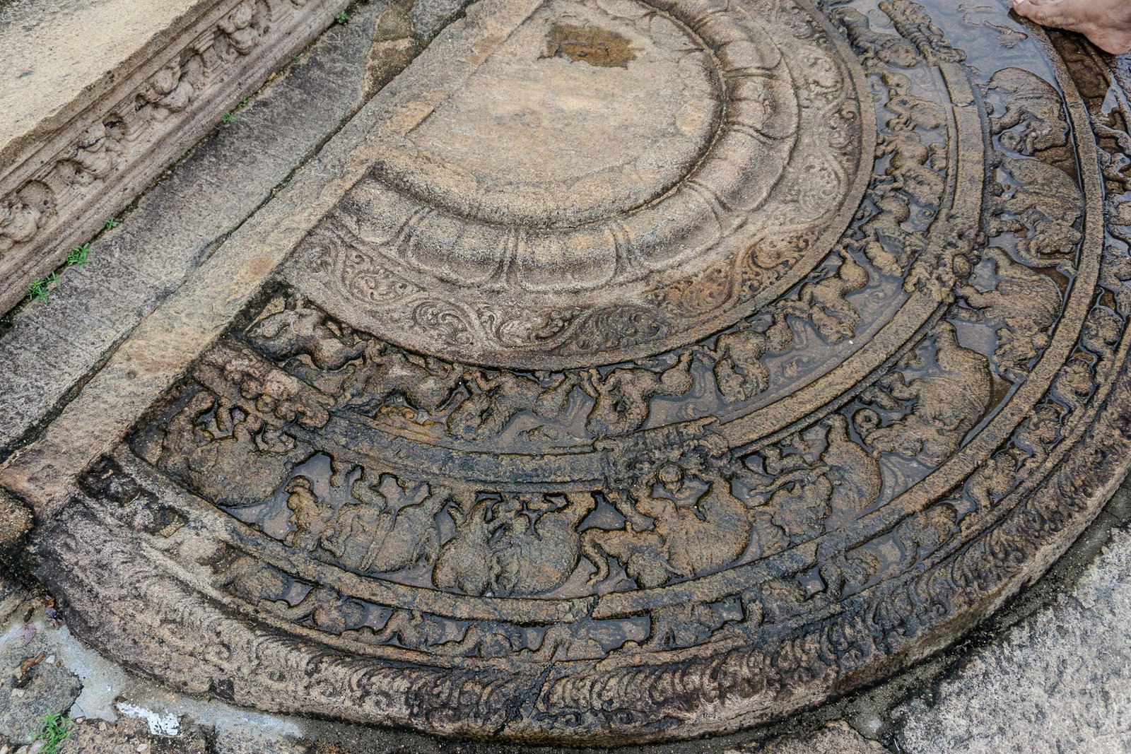 A photo from glenkphoto.com gallery