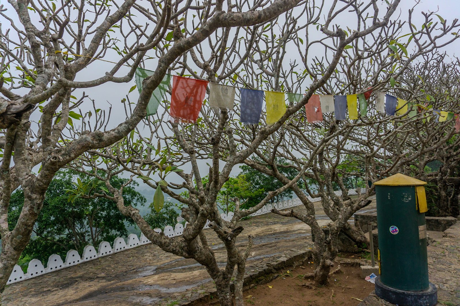 A photo from glenkphoto.com gallery