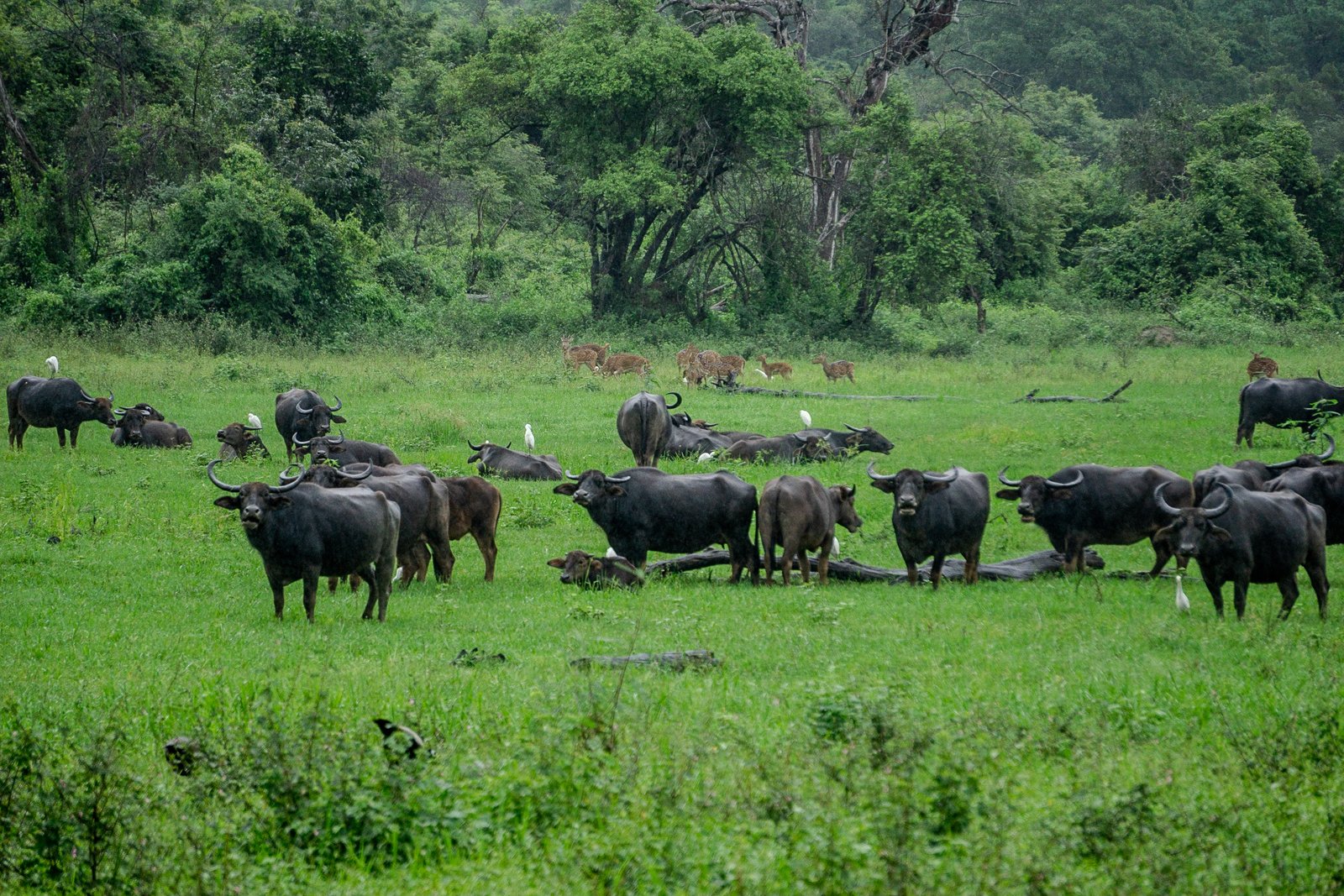 A photo from glenkphoto.com gallery