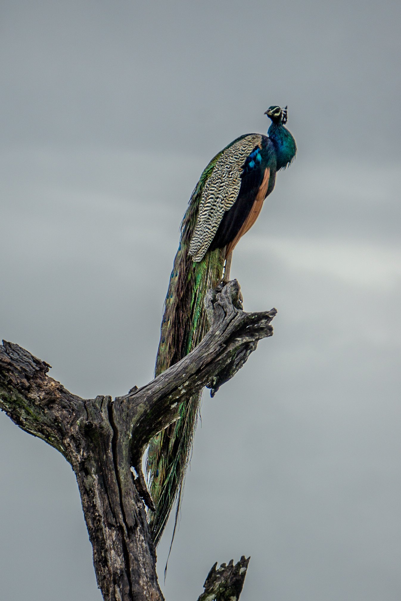 A photo from glenkphoto.com gallery