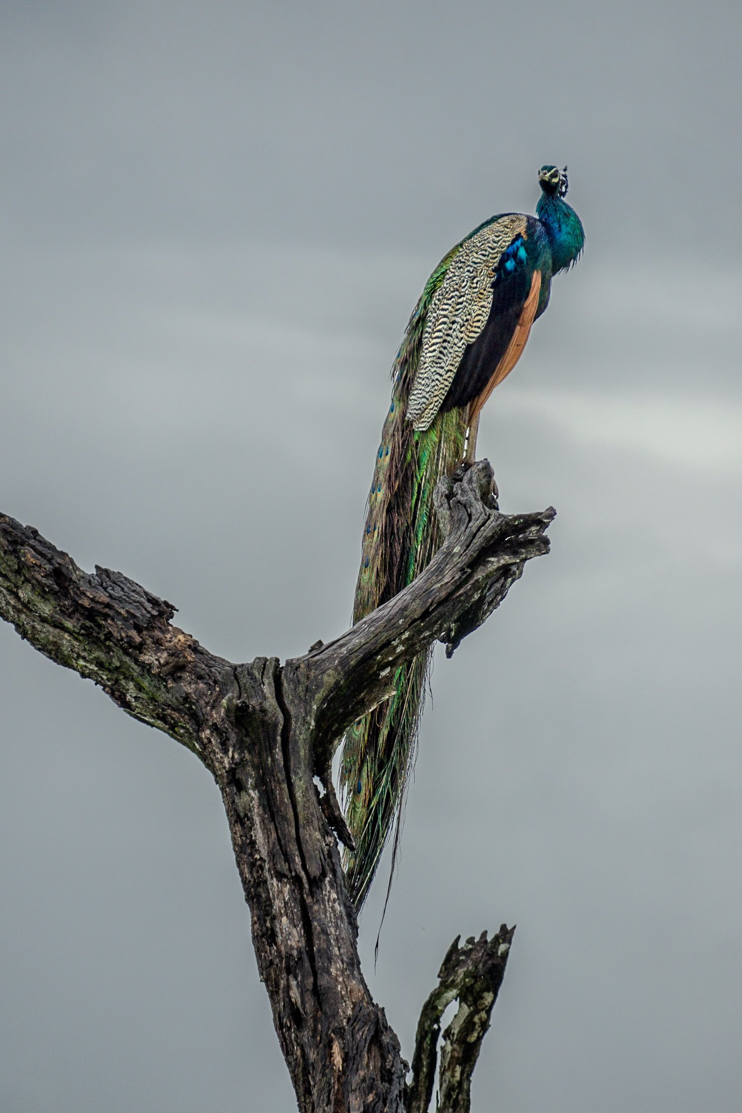 A photo from glenkphoto.com gallery