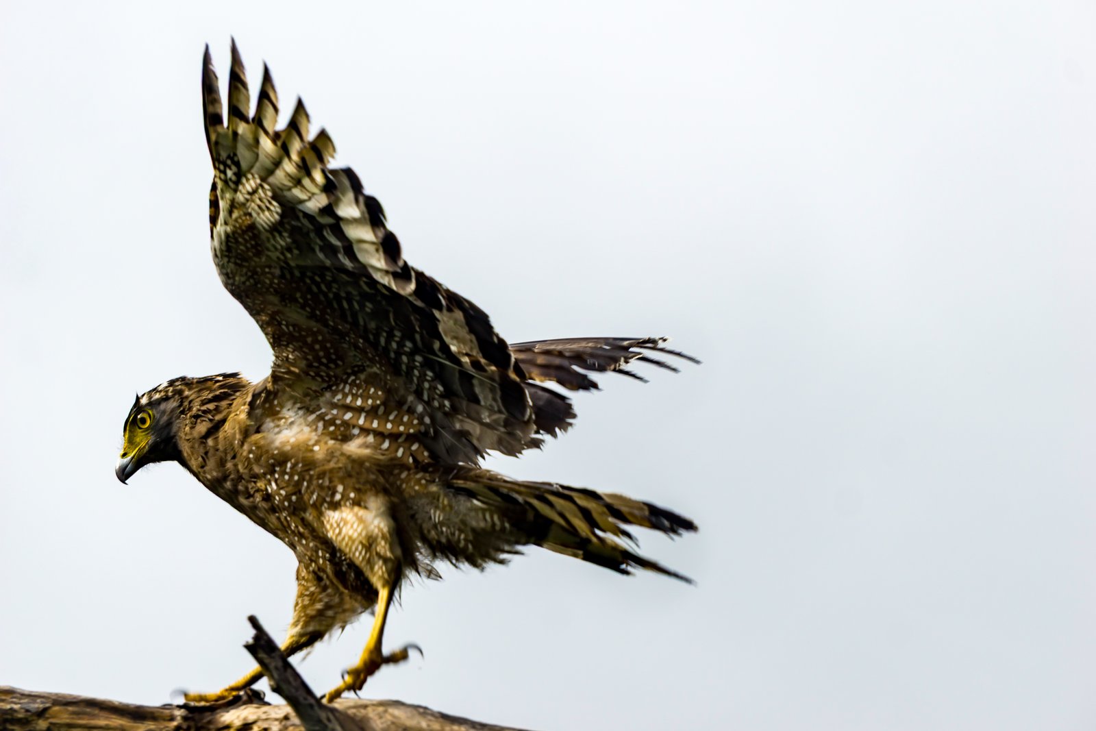 A photo from glenkphoto.com gallery