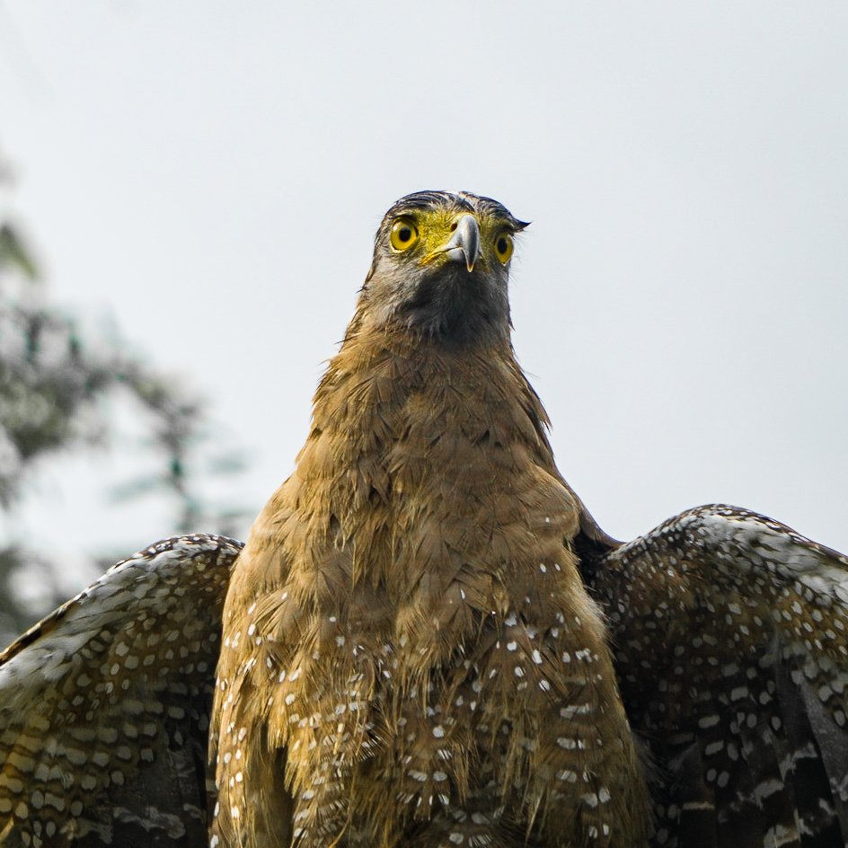 A photo from glenkphoto.com gallery