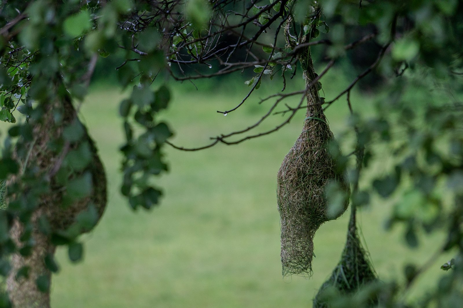 A photo from glenkphoto.com gallery