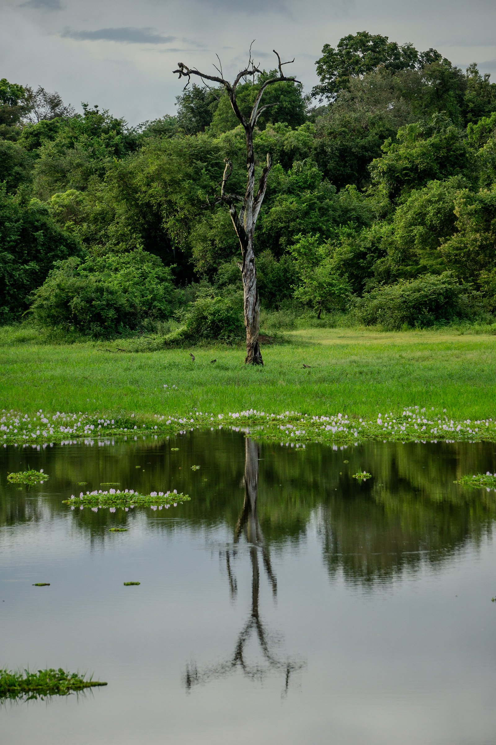 A photo from glenkphoto.com gallery