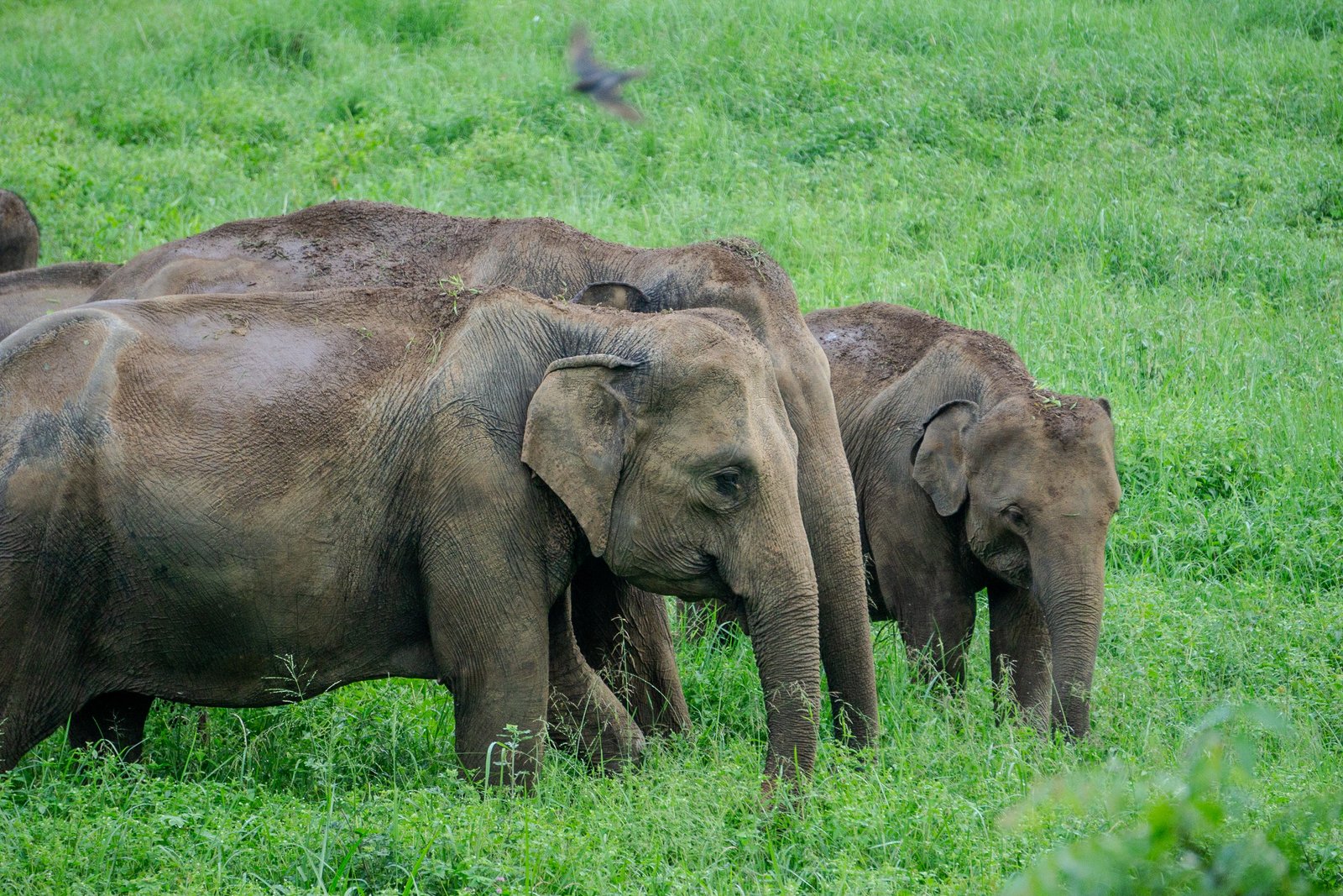 A photo from glenkphoto.com gallery