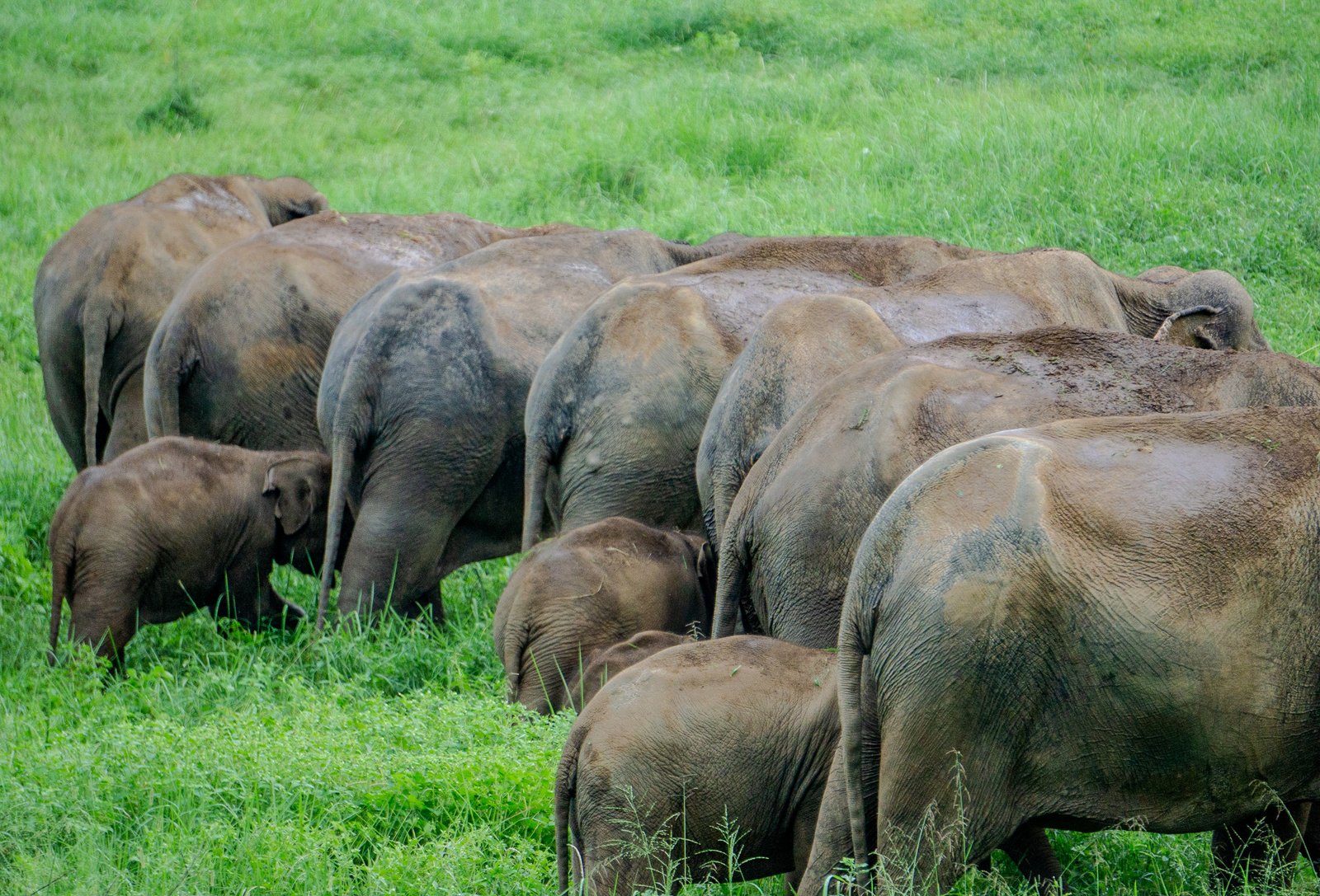 A photo from glenkphoto.com gallery