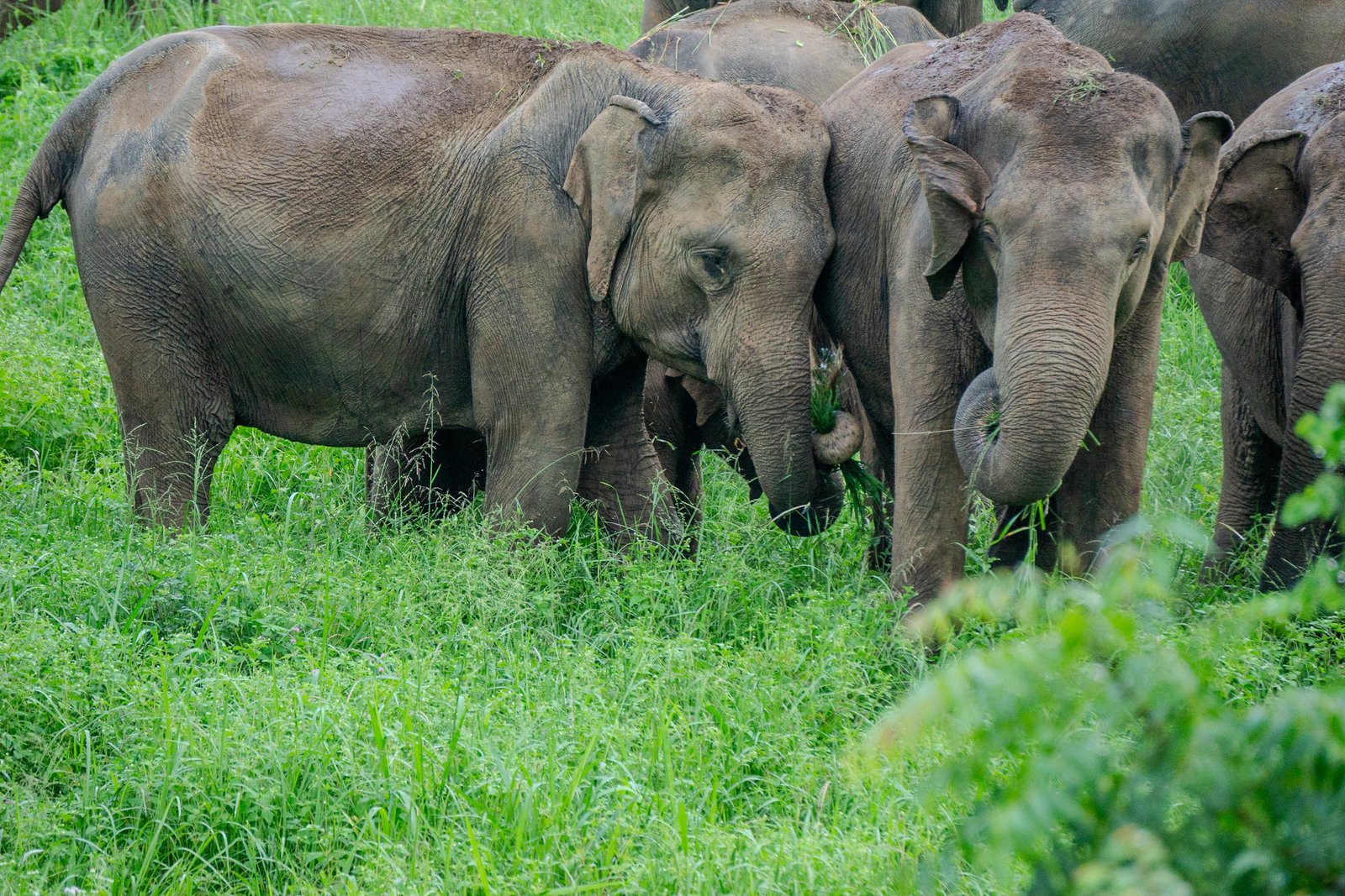 A photo from glenkphoto.com gallery