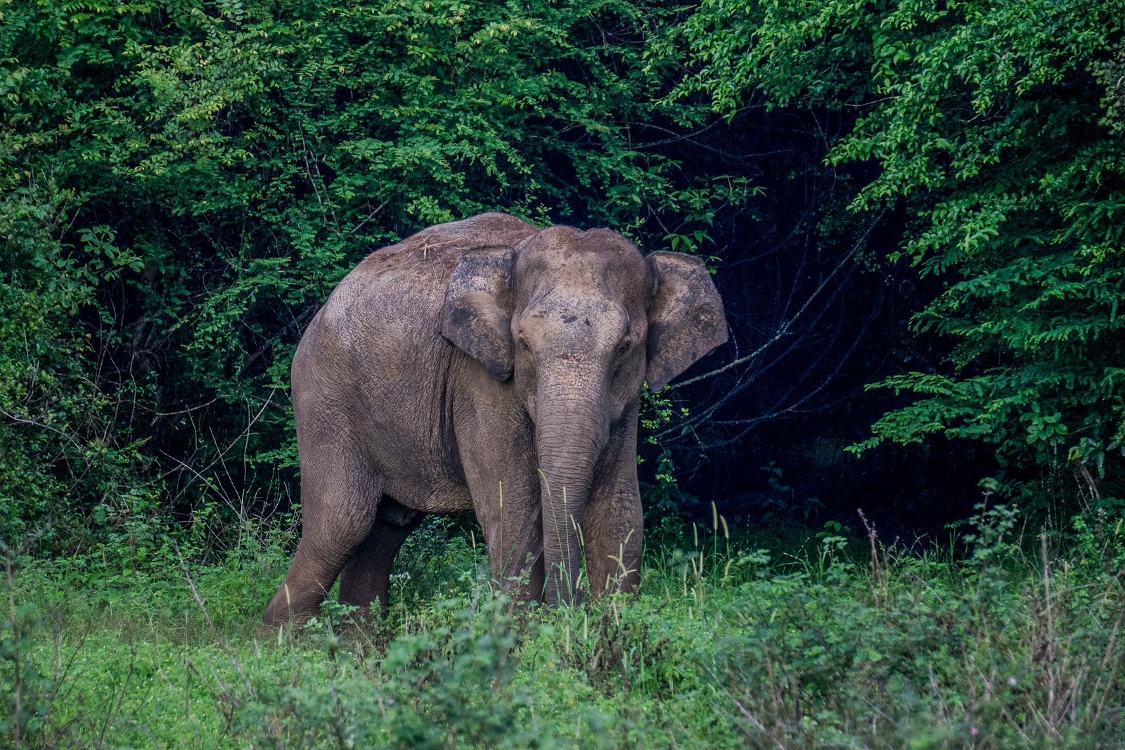 A photo from glenkphoto.com gallery