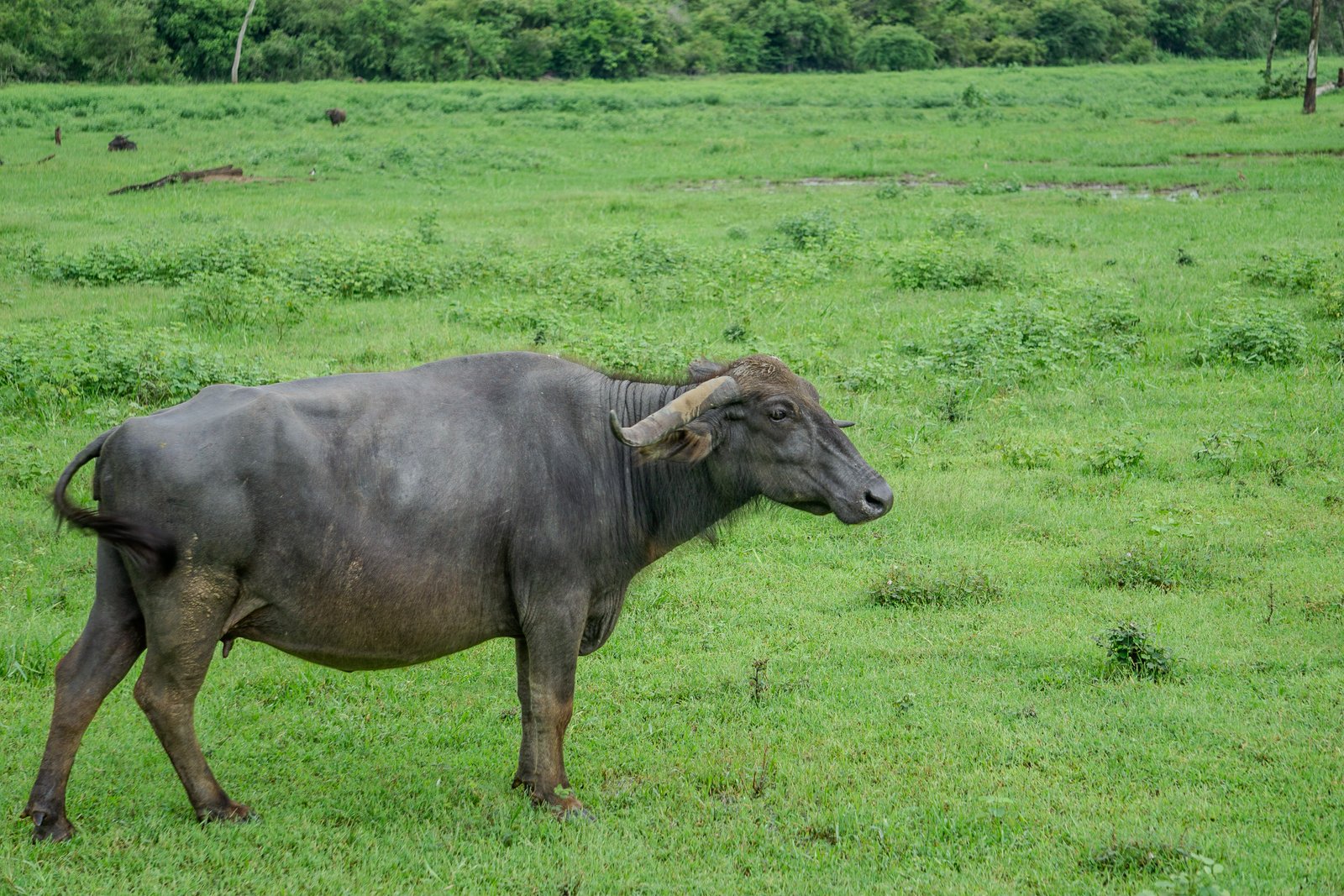 A photo from glenkphoto.com gallery